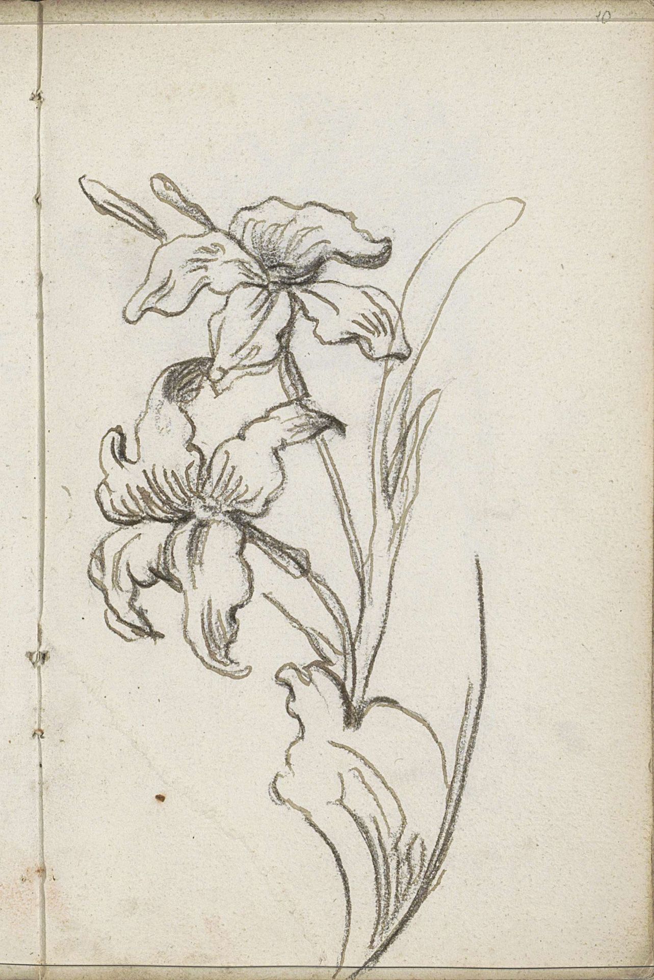 Bloemen by Petrus Johannes van Reysschoot