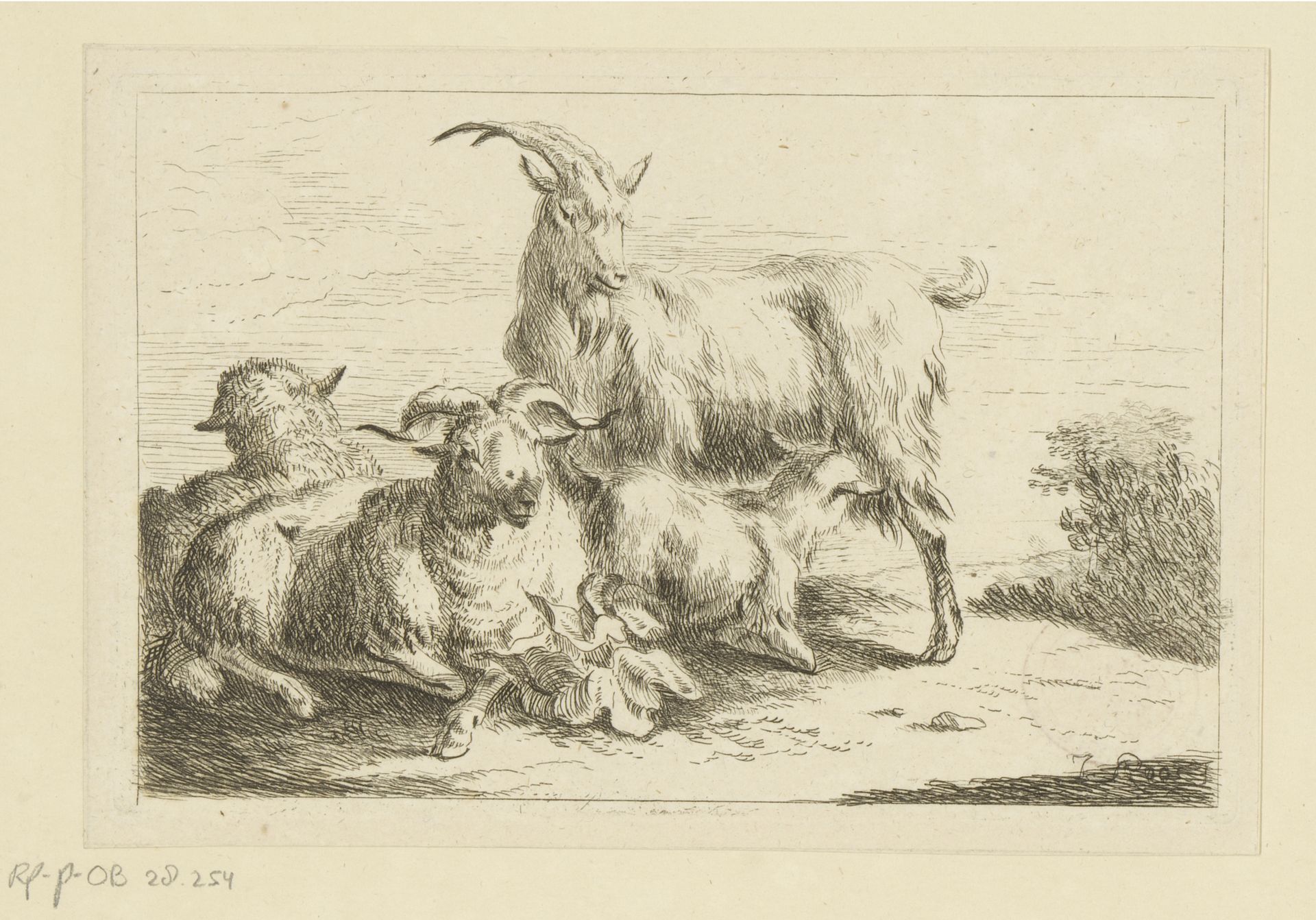Geit, ram en twee schapen by Joseph (I) Roos