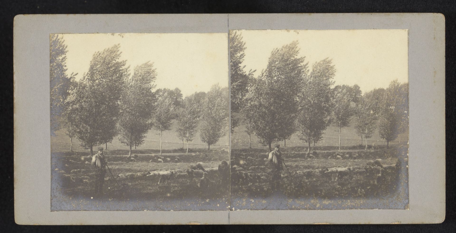 Schapenherder by Robert Julius Boers