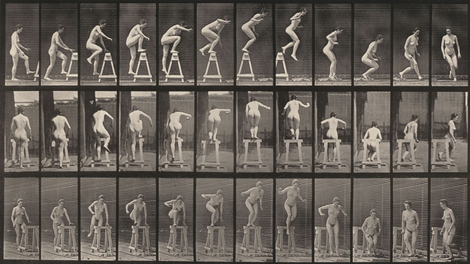 Plate Number 171. Stepping up on a trestle, jumping down and turning by Eadweard Muybridge