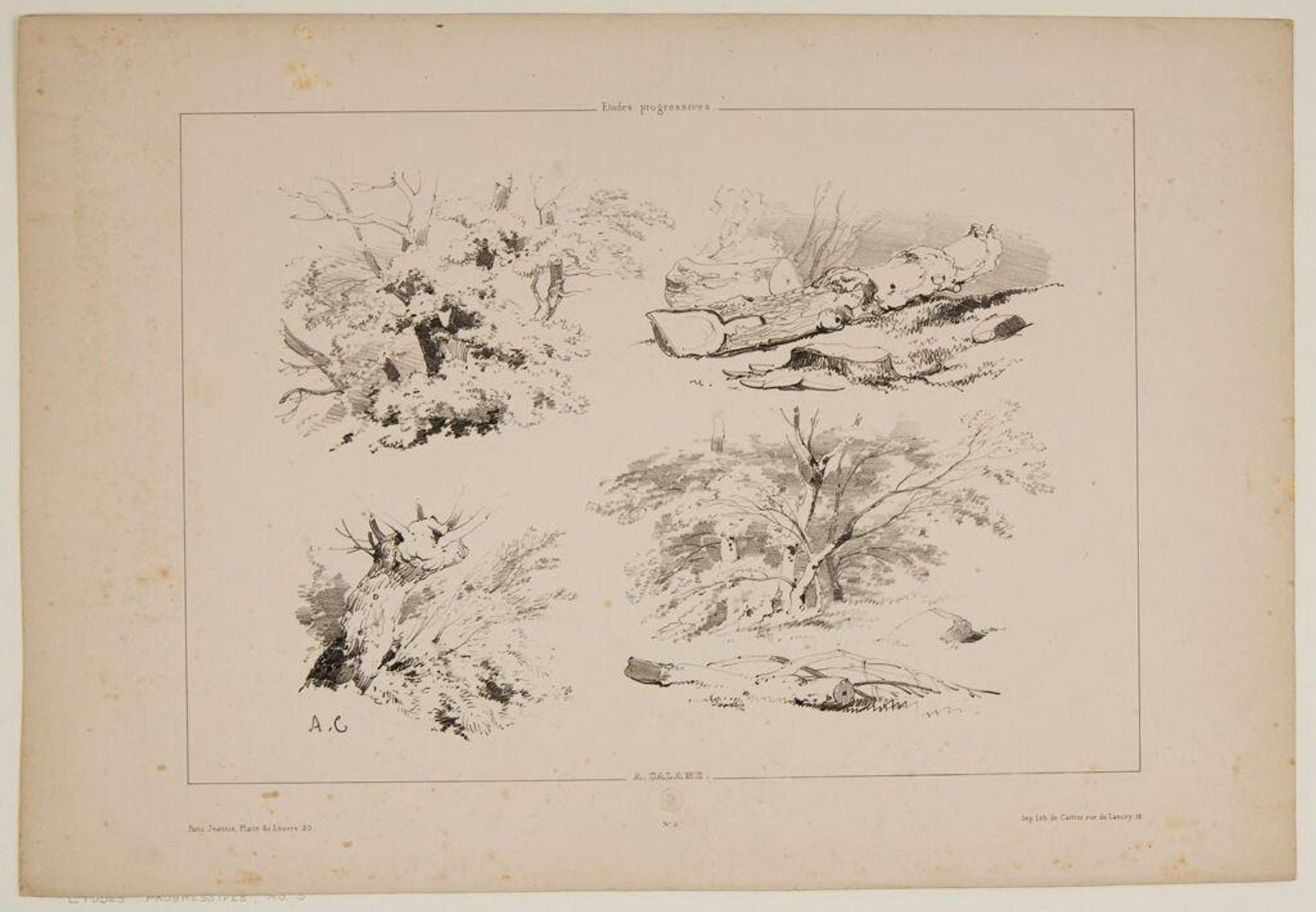 Four Sketches of Trees and Logs by Alexandre Calame