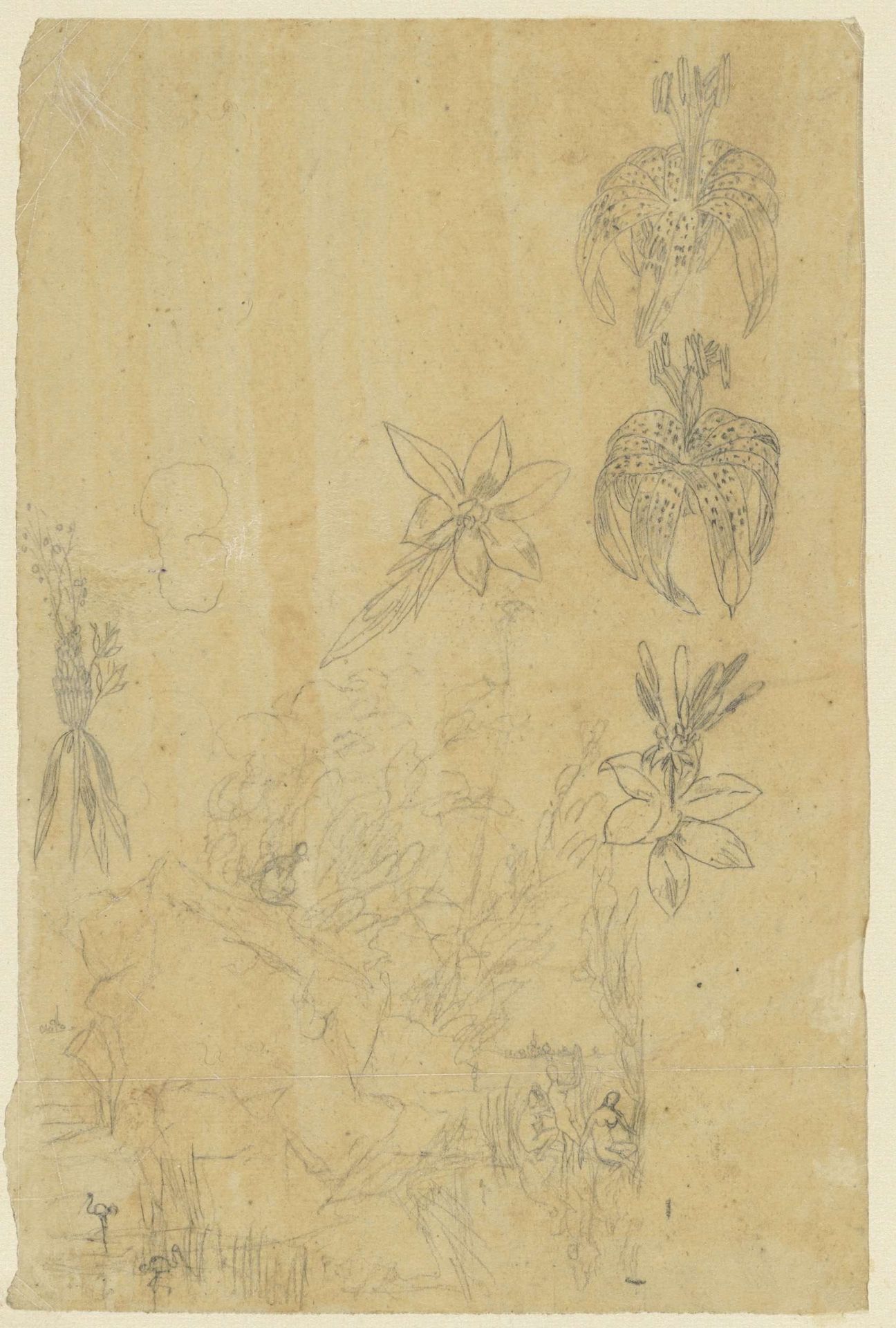 Bloemstudies en badende vrouwen by Rodolphe Bresdin