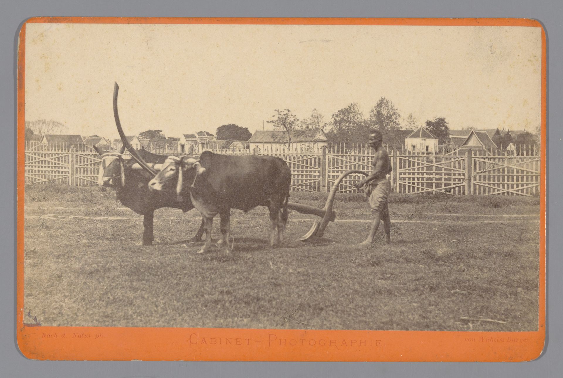 Man aan het werk op het land met twee buffels in Thailand by Wilhelm Burger