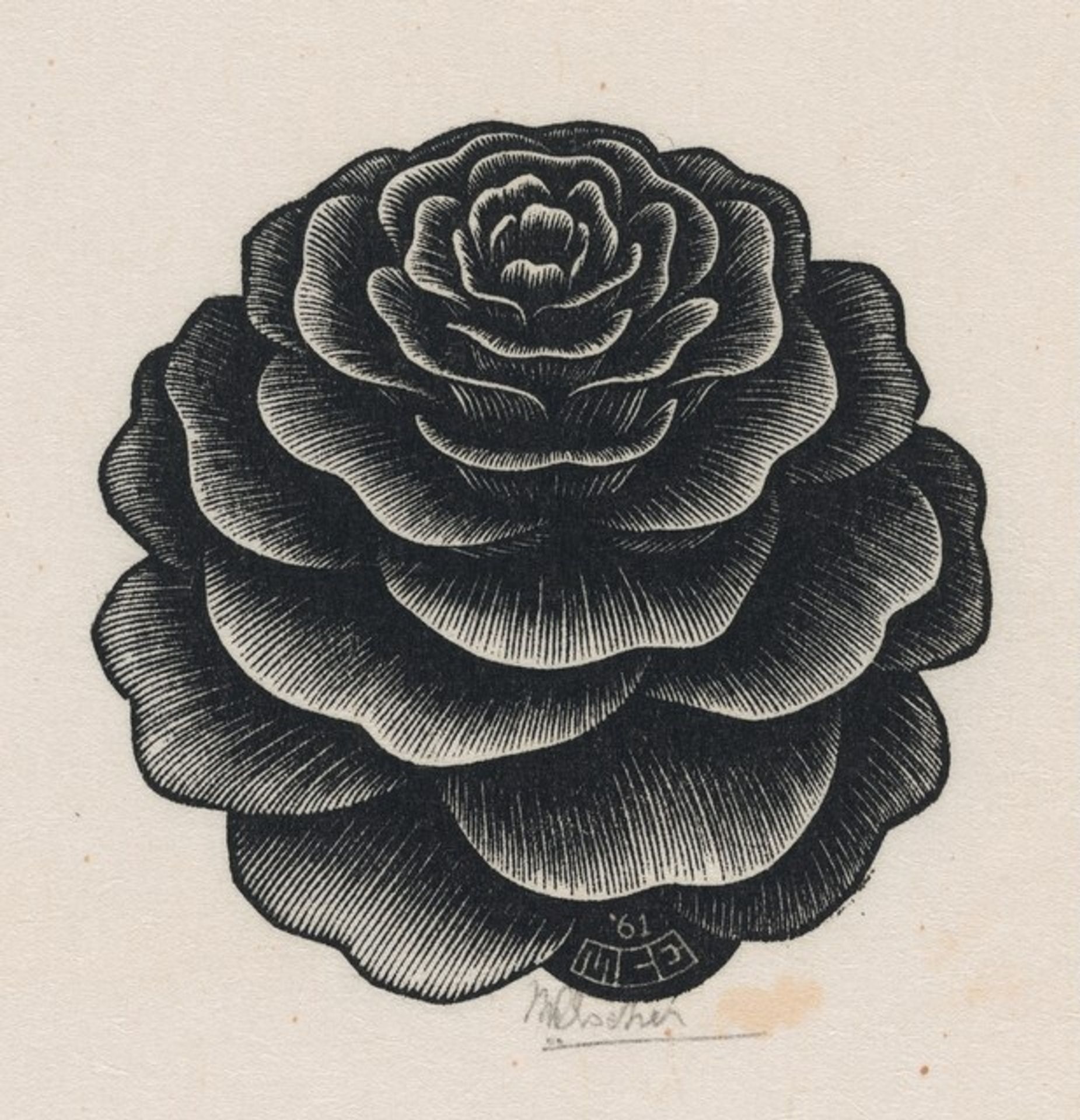Larix by M.C. Escher