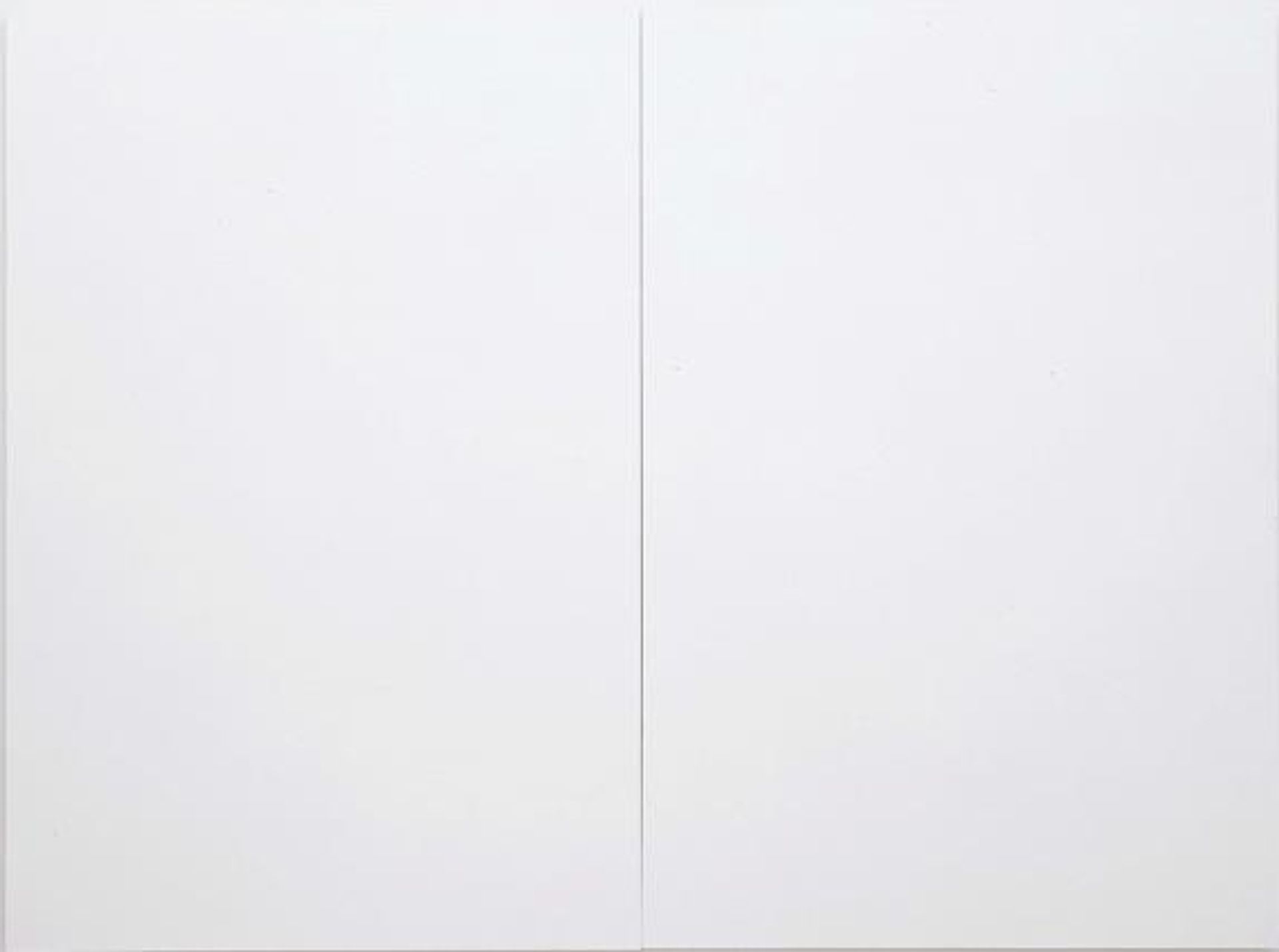 White Painting [two Panel] by Robert Rauschenberg