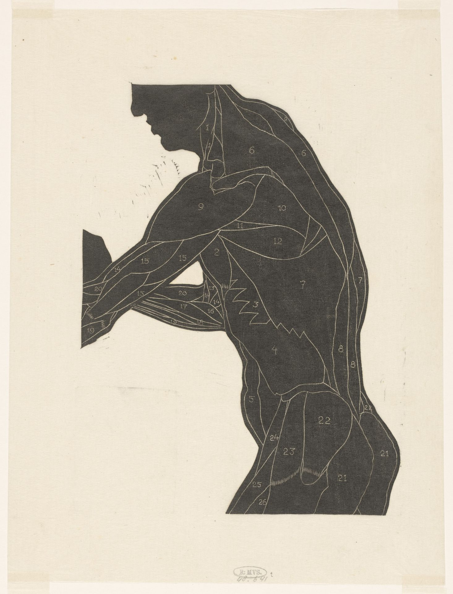 Anatomische studie van de zij- en armspieren van een man in silhouet by Reijer Stolk