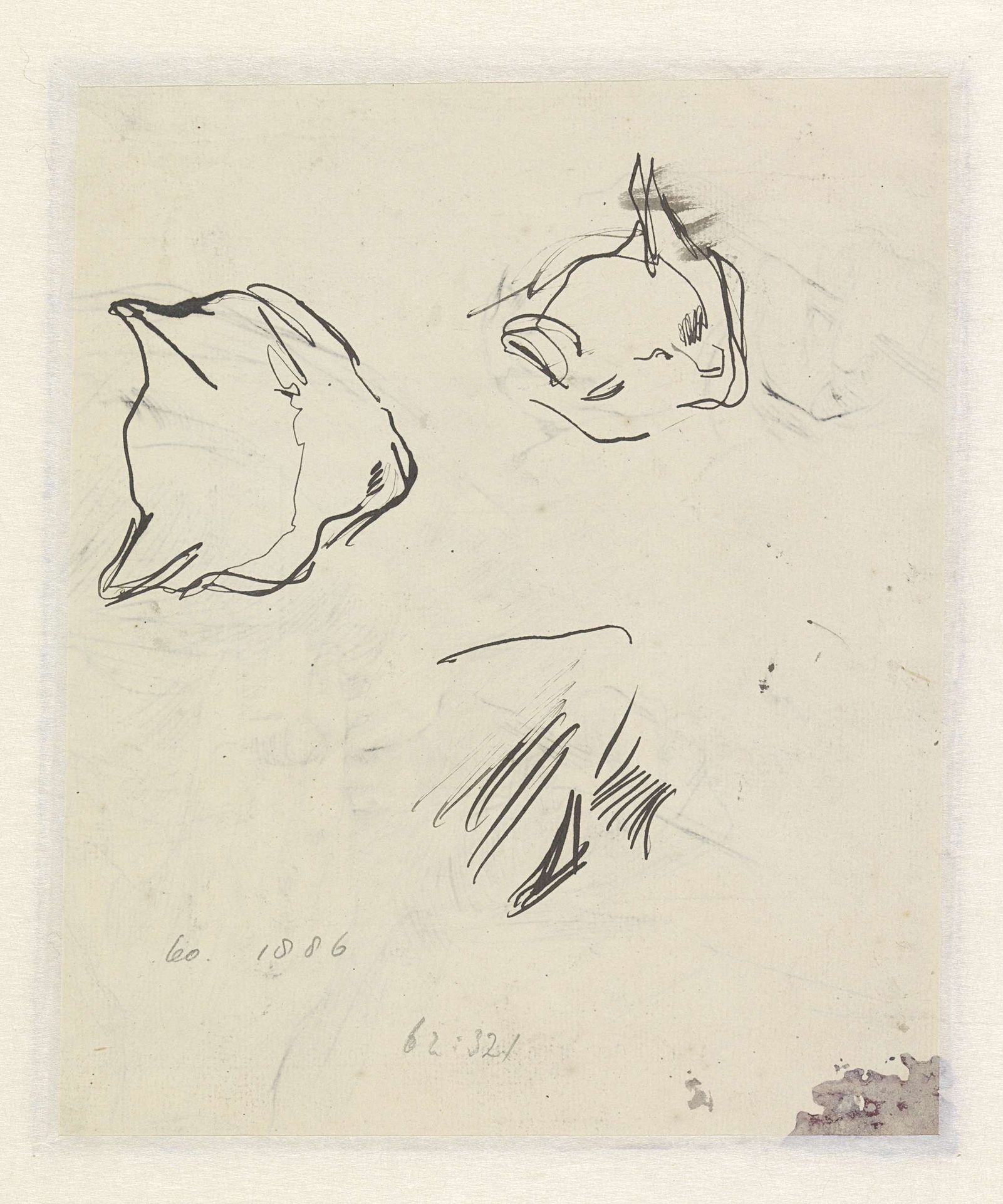 Schetsen van een kat by Jan Veth
