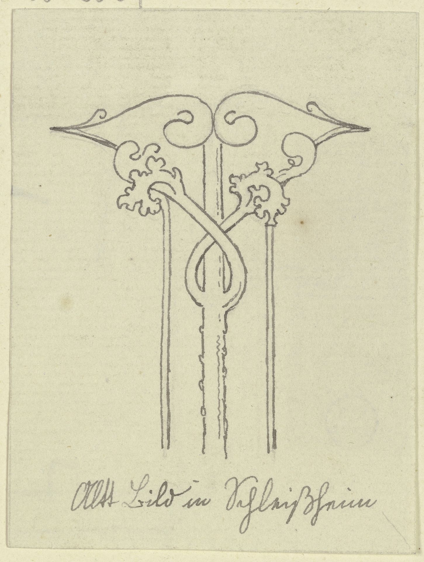 Florales Ornament in Schleißheim by Karl Ballenberger