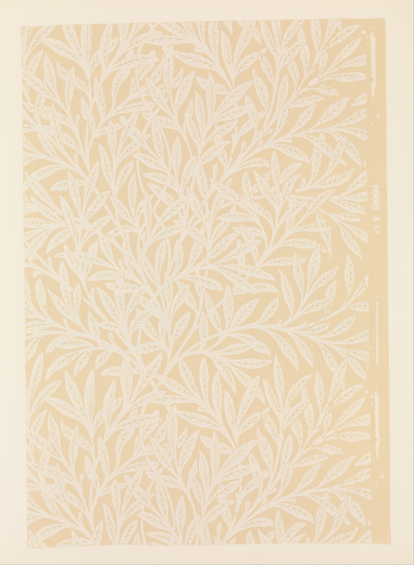 Willow by William Morris