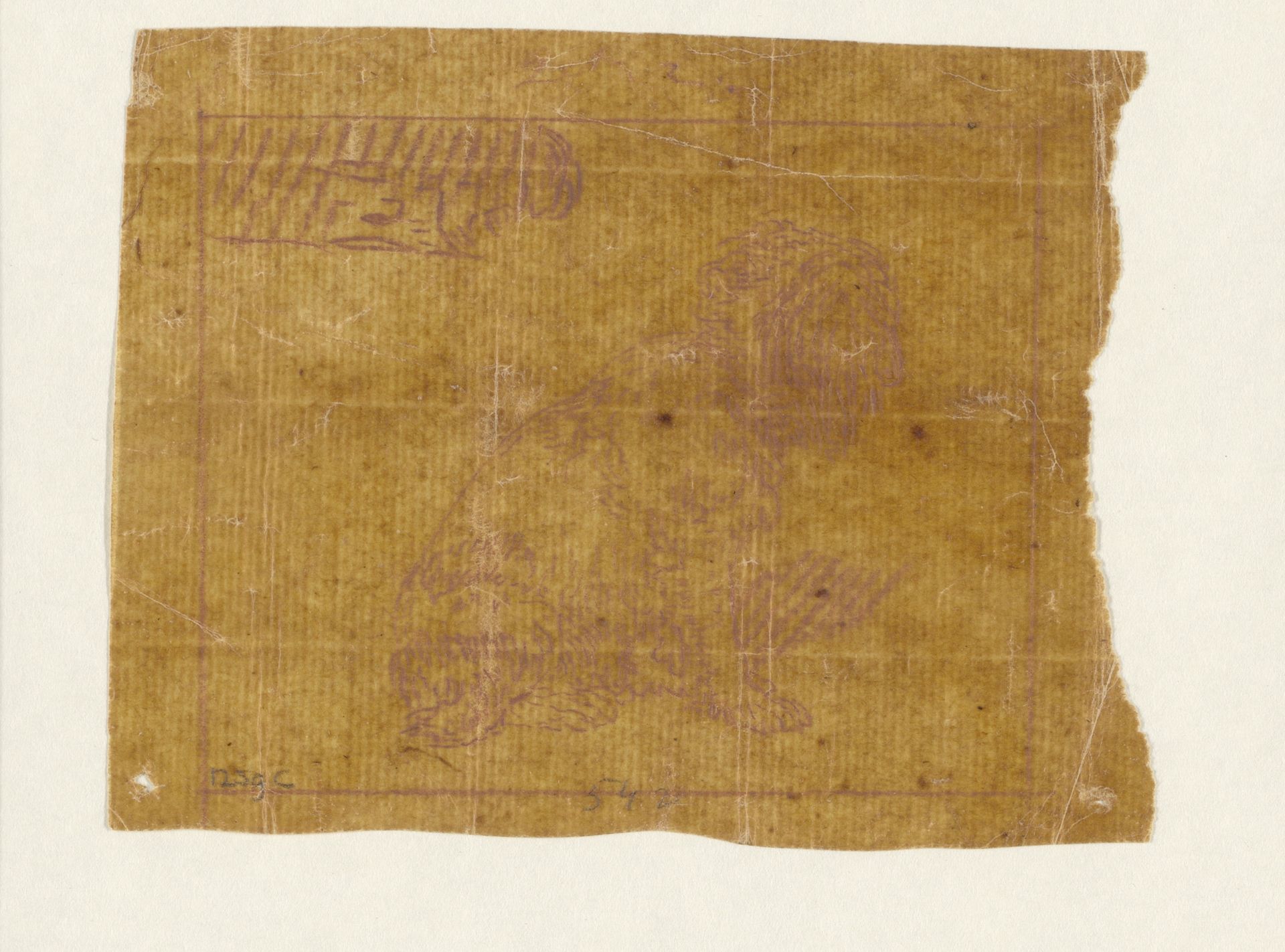 Zittende hond by Cornelis Brouwer