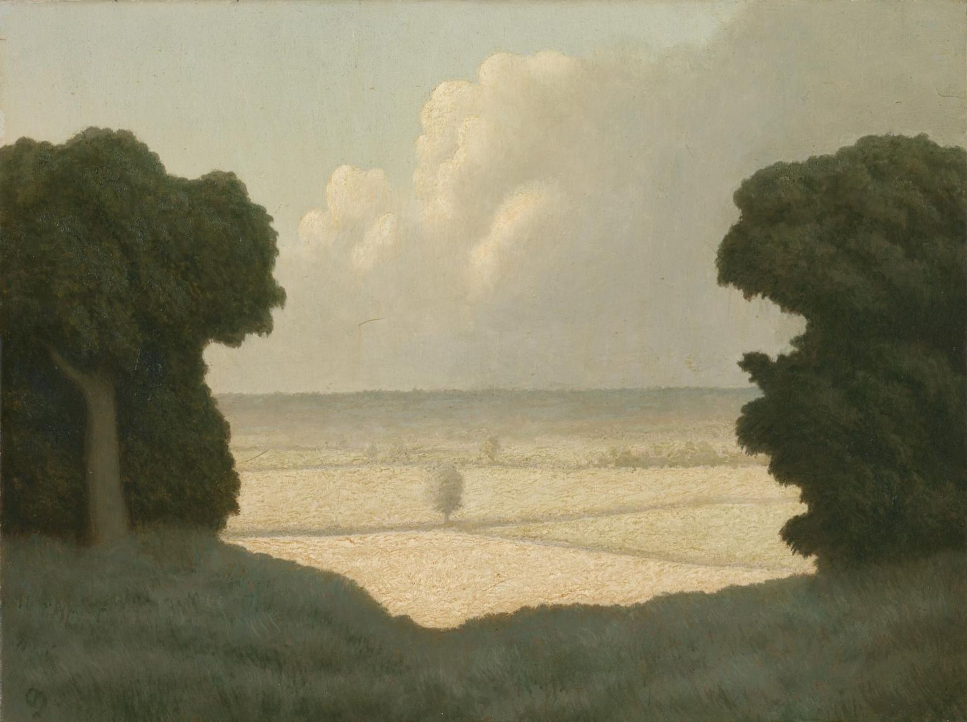 A Gleam of Sunlight by  Algernon Newton