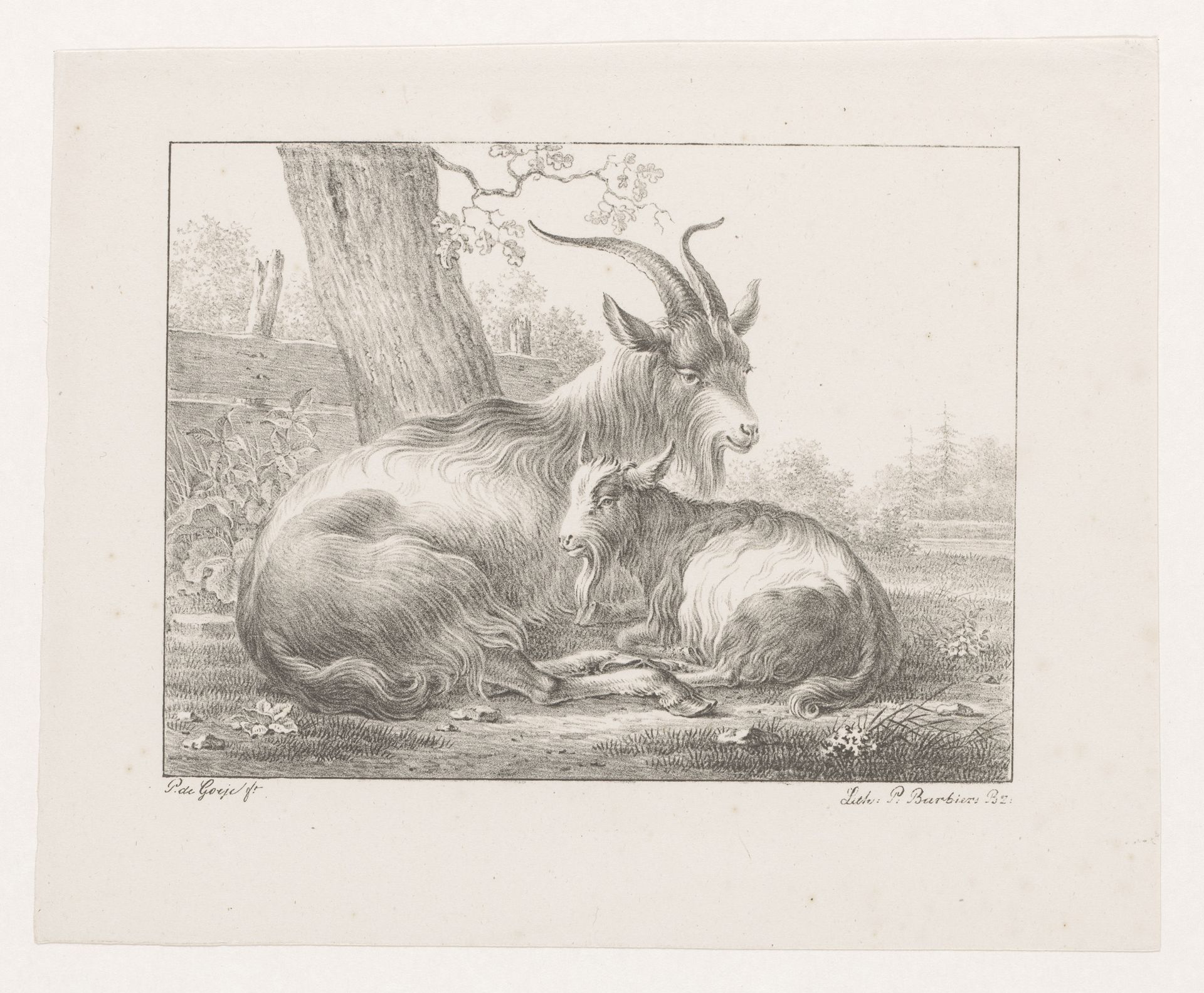 Bok en geit in landschap by Pieter Bartholomeusz. Barbiers
