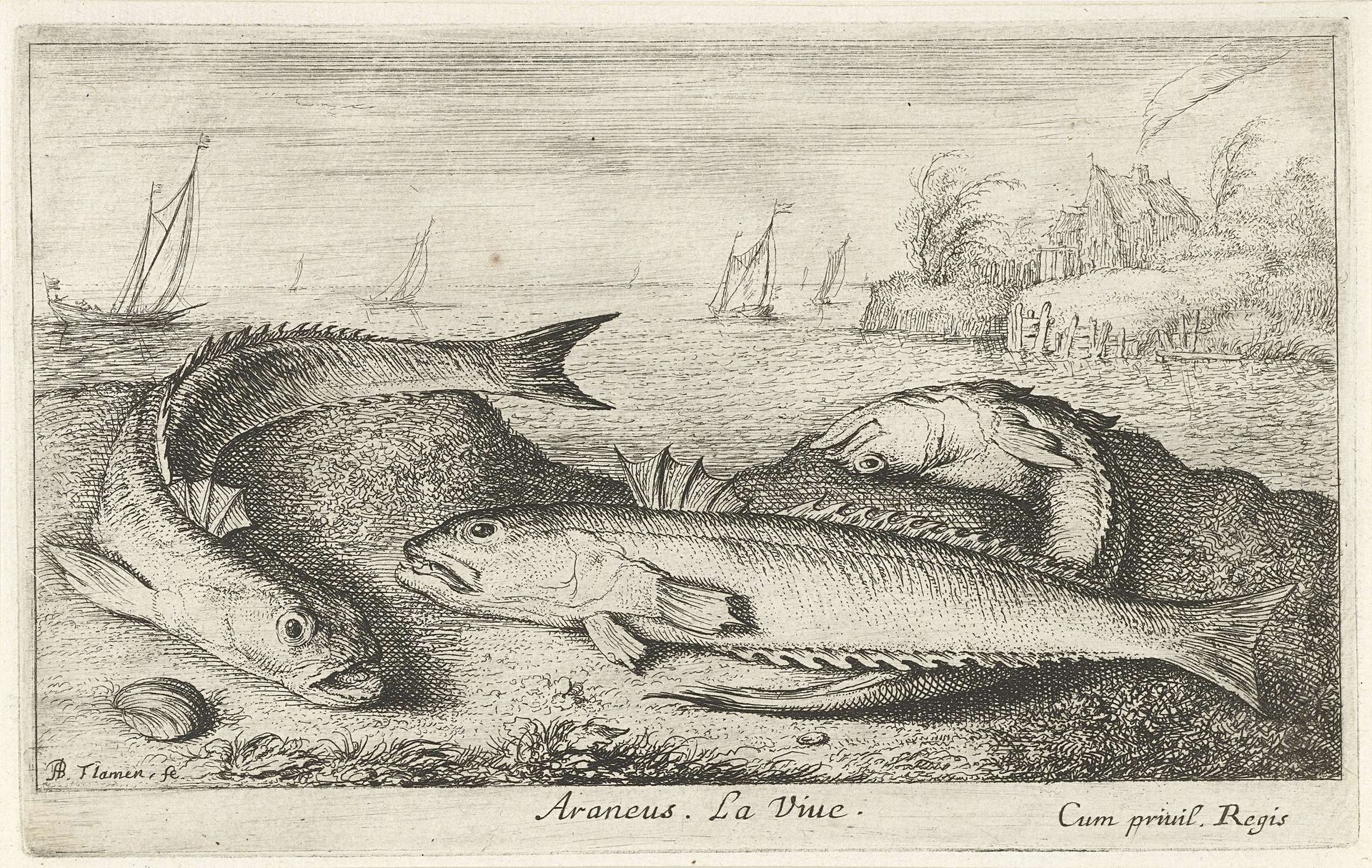 Drie gevlekte pietermannen op het strand by Albert Flamen