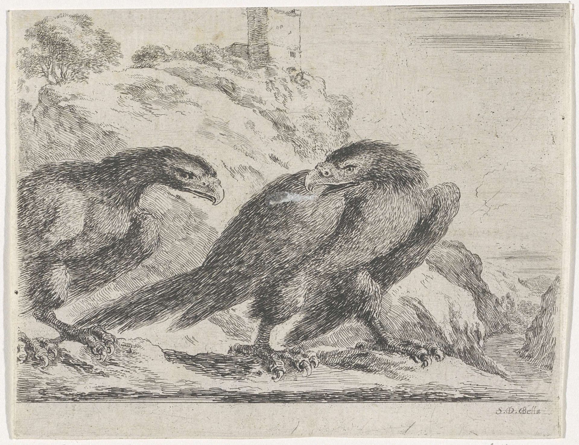 Adelaar naar rechts lopend, omkijkend naar ander adelaar by Stefano della Bella