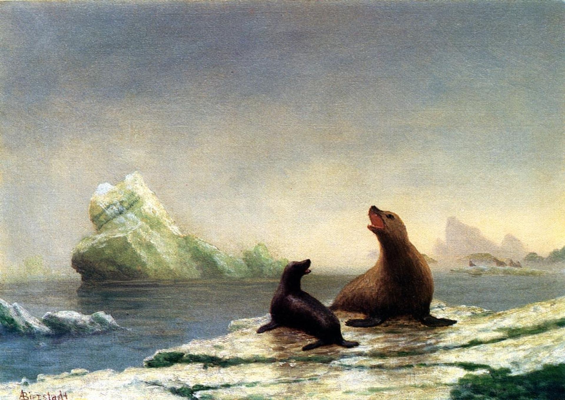 Seals by Albert Bierstadt