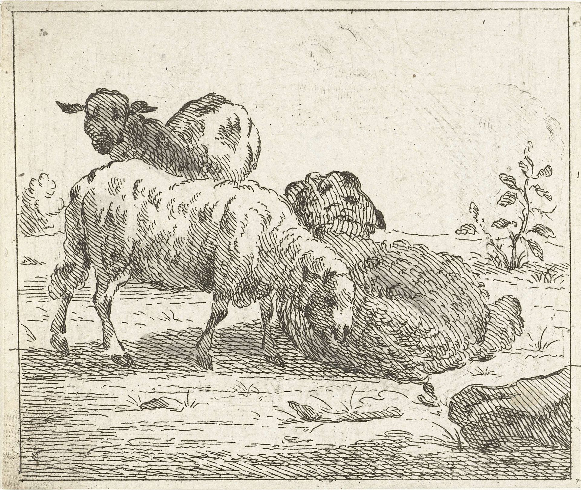 Drie schapen by Jan Matthias Cok