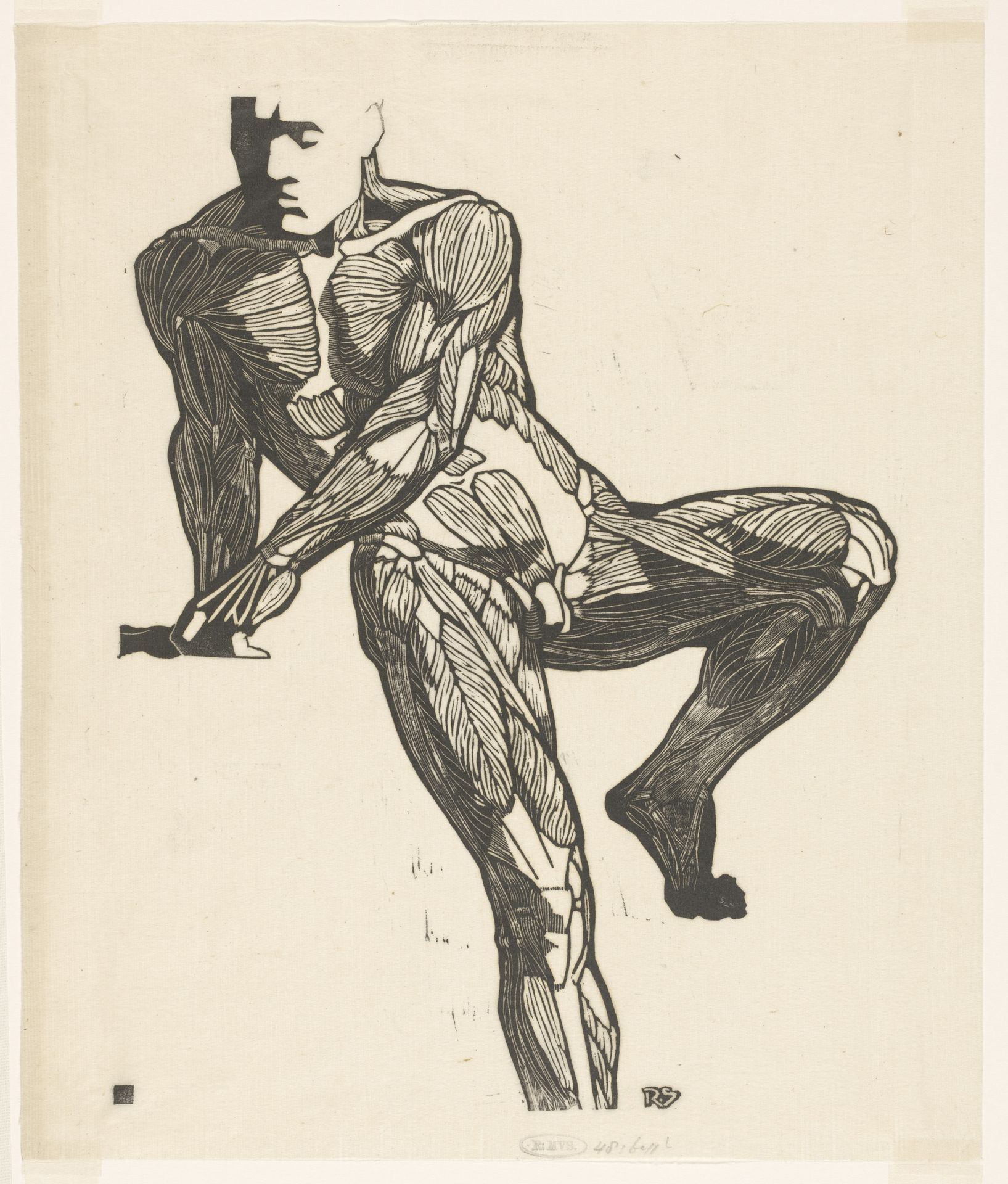 Anatomische studie van de borst-, buik- en beenspieren van een man by Reijer Stolk