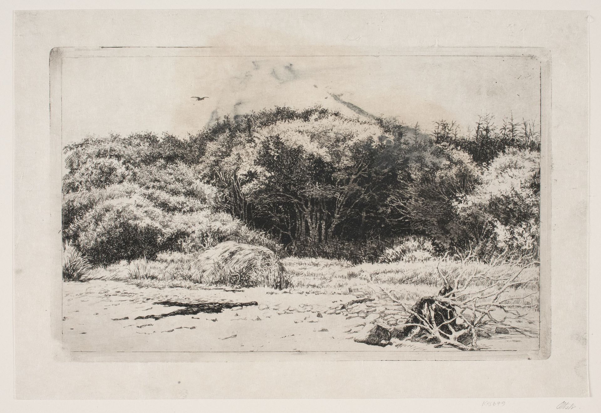 Parti fra Hornbæksplantagen by Carl Bloch
