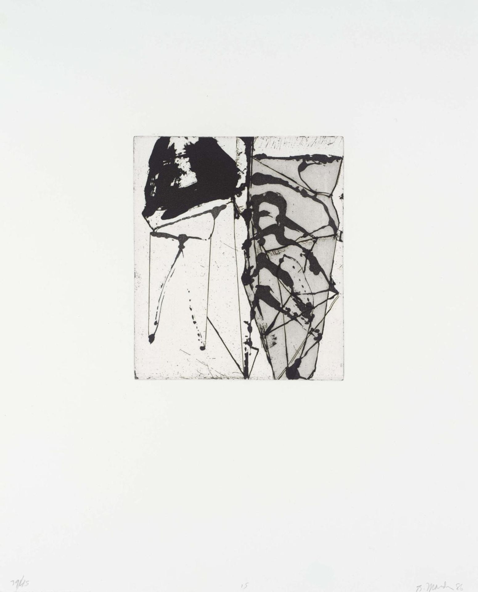 15 by Brice Marden