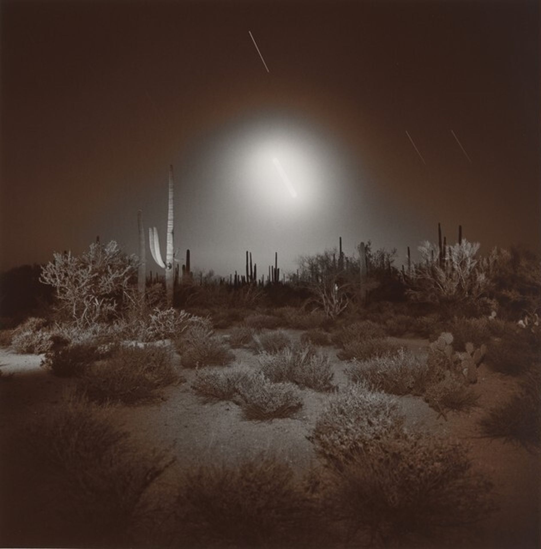 Night Desert by Richard Misrach