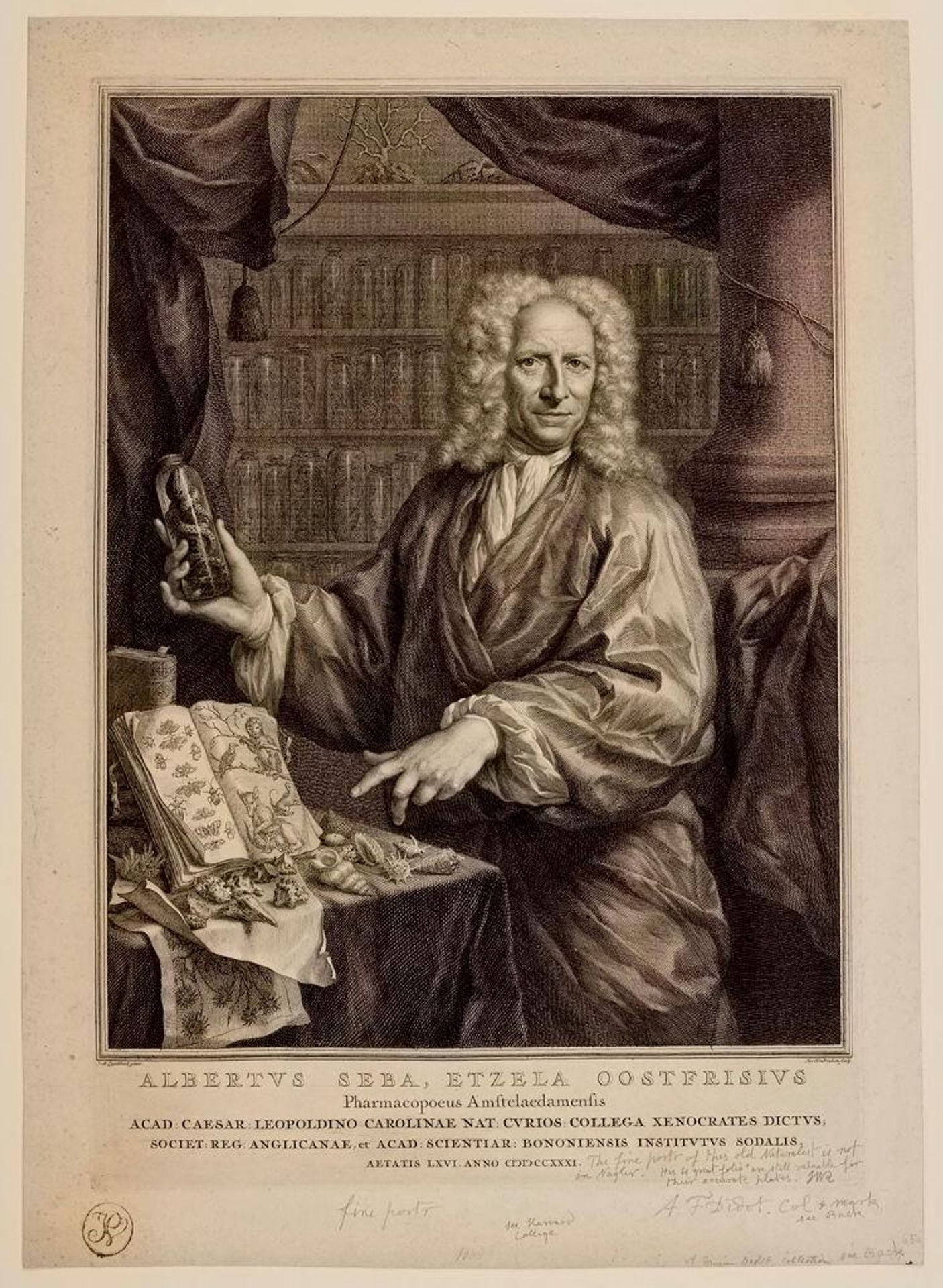 Albertus Seba by Jacobus Houbraken