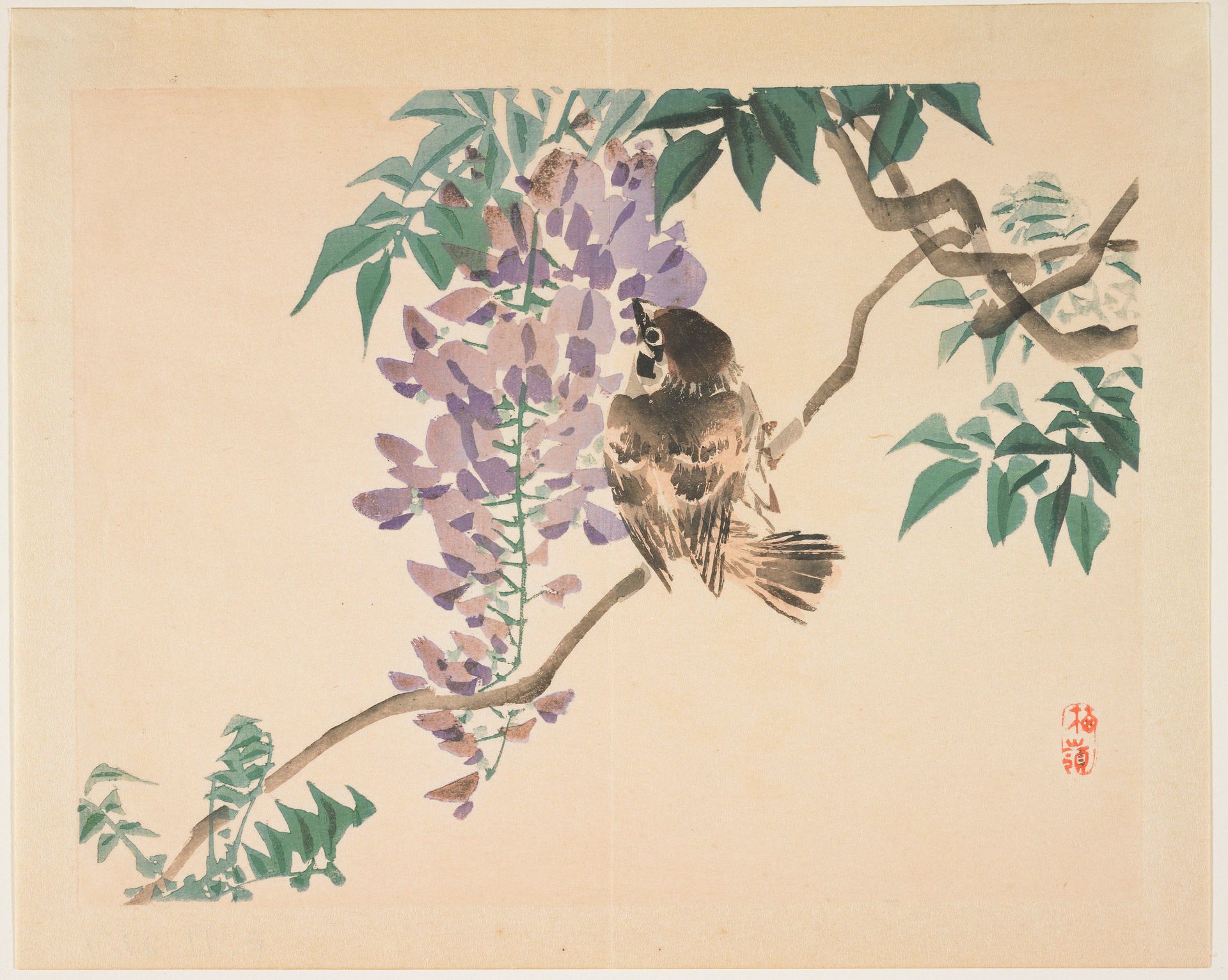 (Sparrow on a wisteria branch) by Kōno Bairei 幸野楳嶺