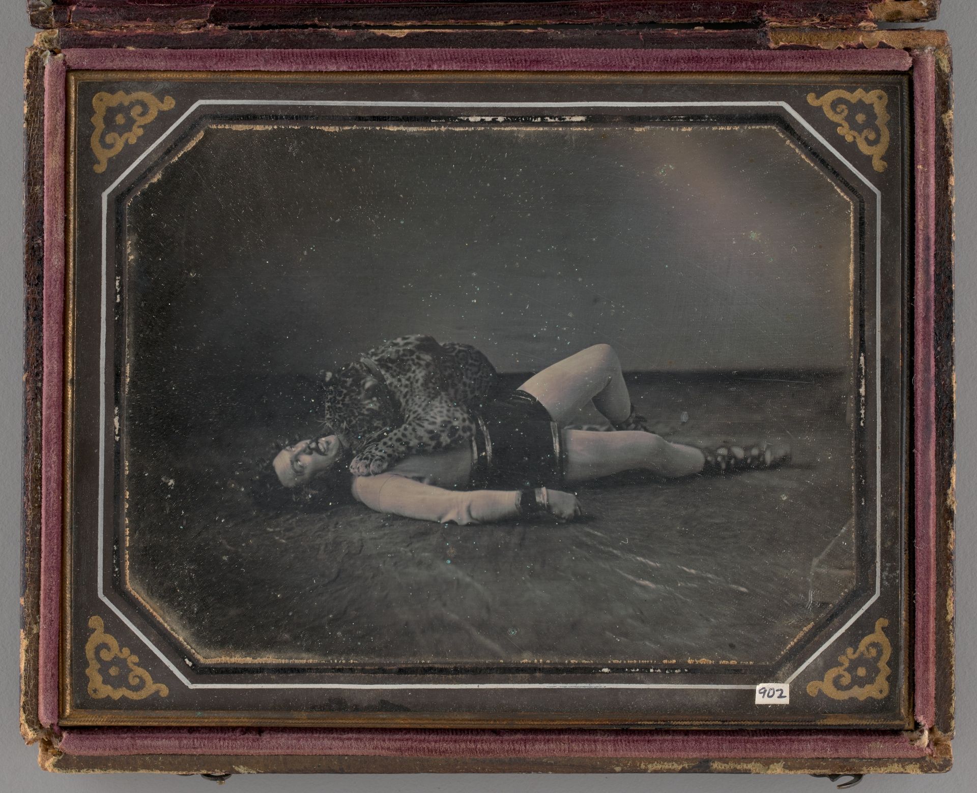 Untitled (Portrait of Wild Animal Tamer Jacob Driesbach with Jaguar) by Frederick Langenheim