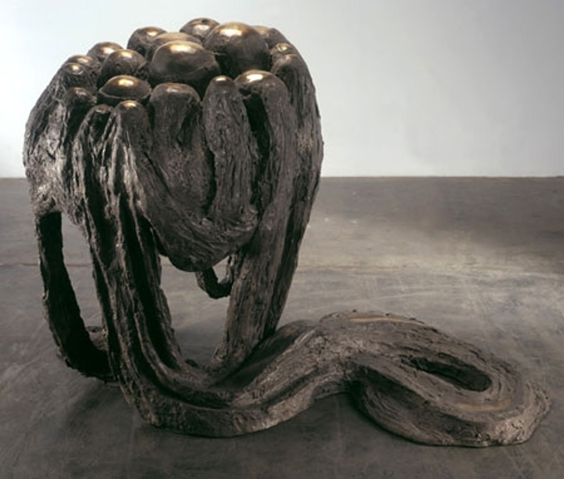 Avenza Revisited II by Louise Bourgeois