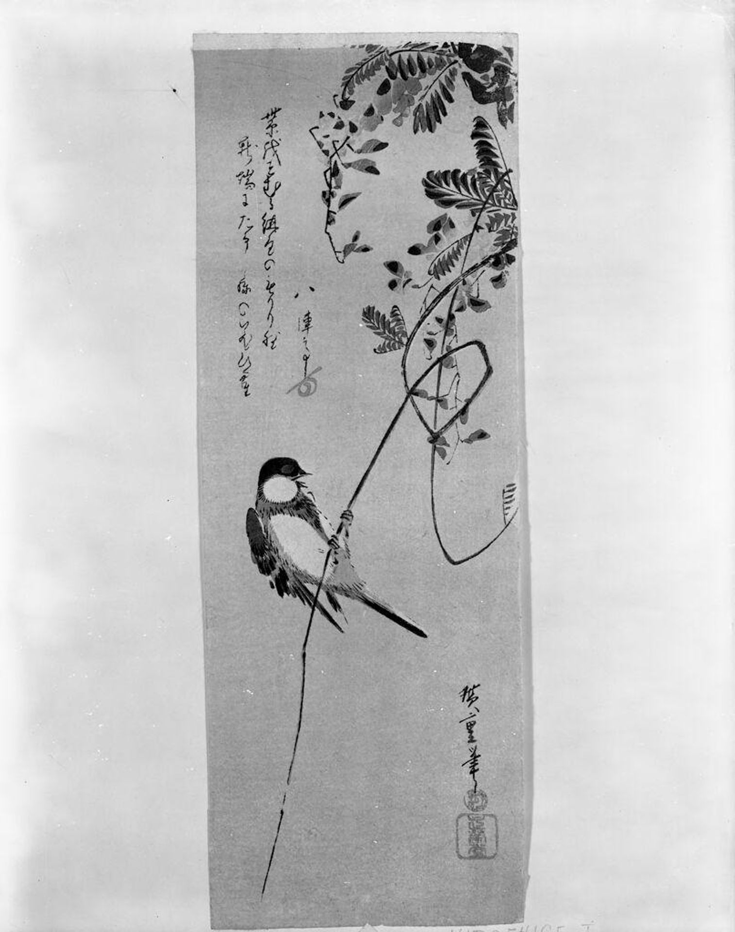 WISTERIA AND WOOD-CRACKER BIRD by Utagawa Hiroshige