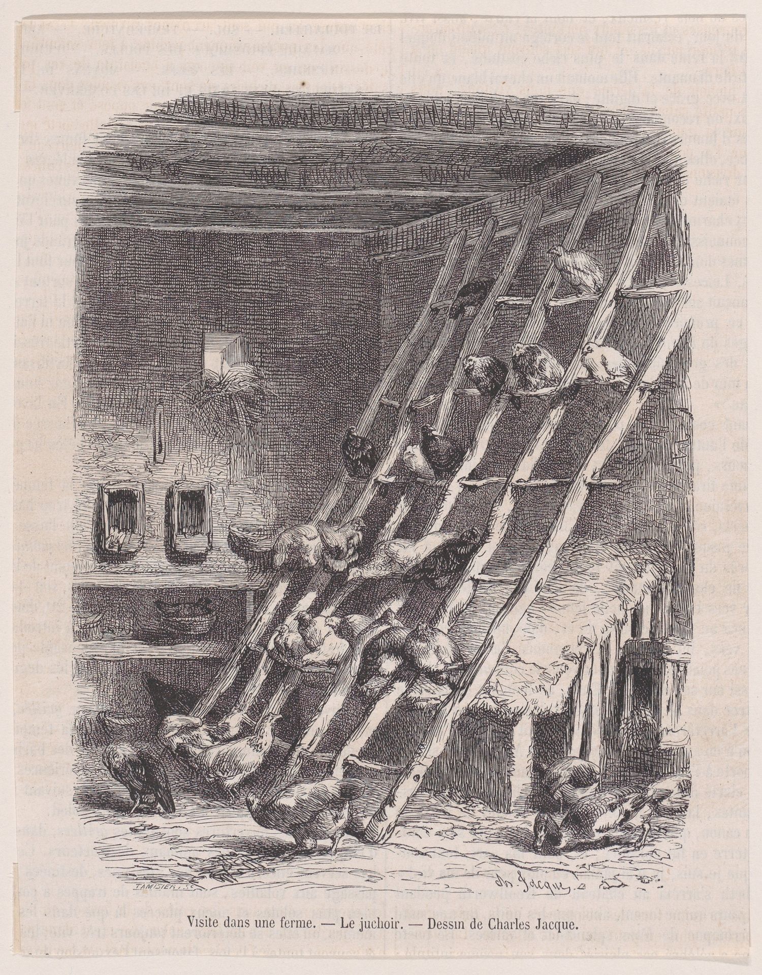 Visit to a Farm — The Roost, from "Le Magasin Pittoresque" by Charles Jacque