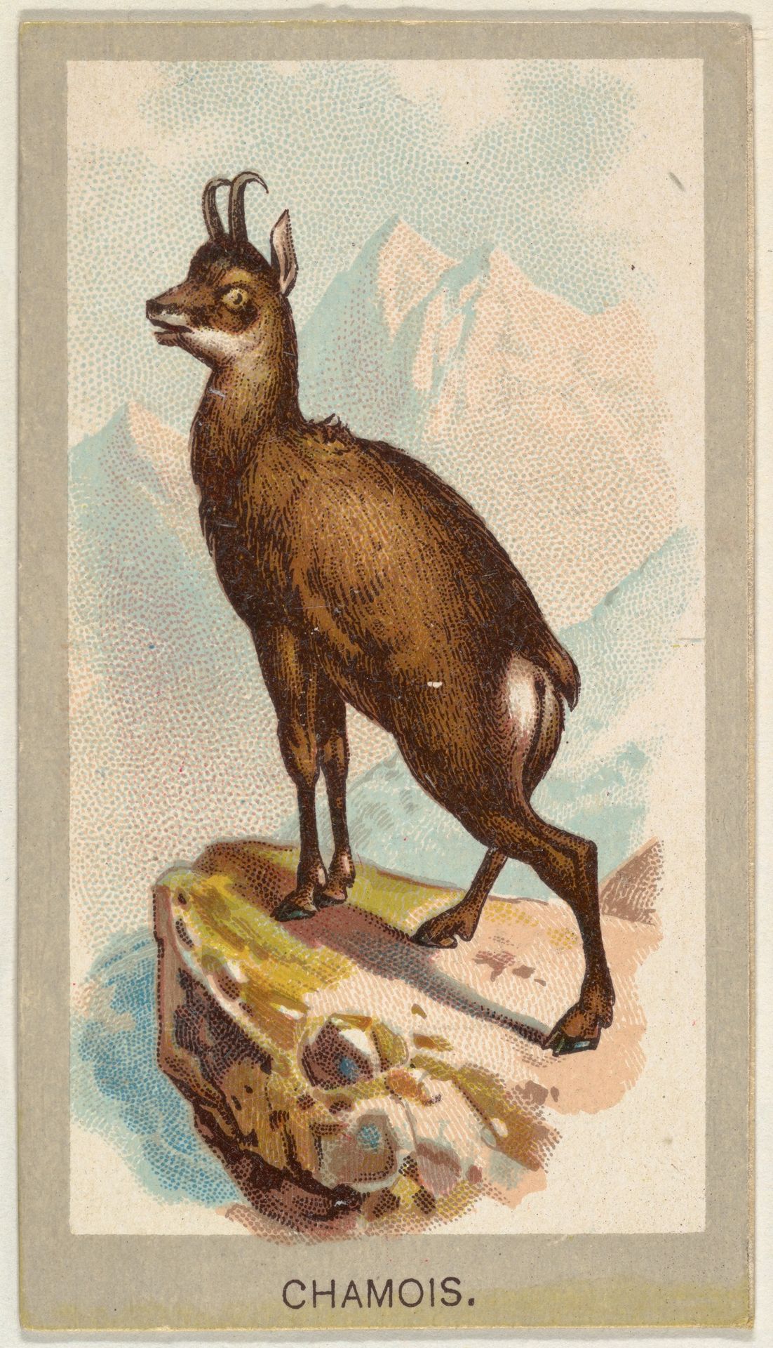 Chamois, from the Animals of the World series (T180), issued by Abdul Cigarettes by Abdul Cigarettes