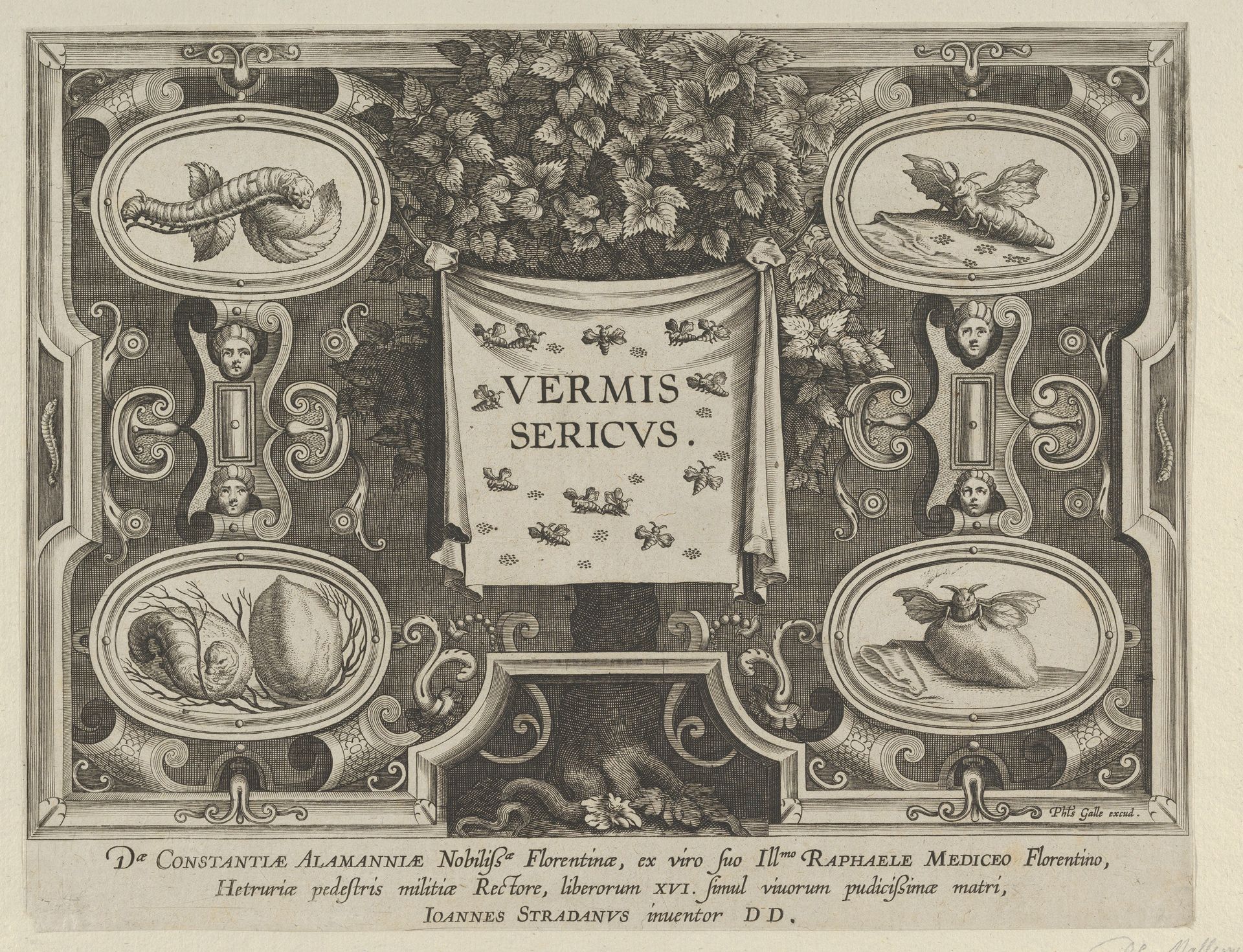 Title Plate from "The Introduction of the Silkworm" [Vermis Sericus] by Karel van Mallery