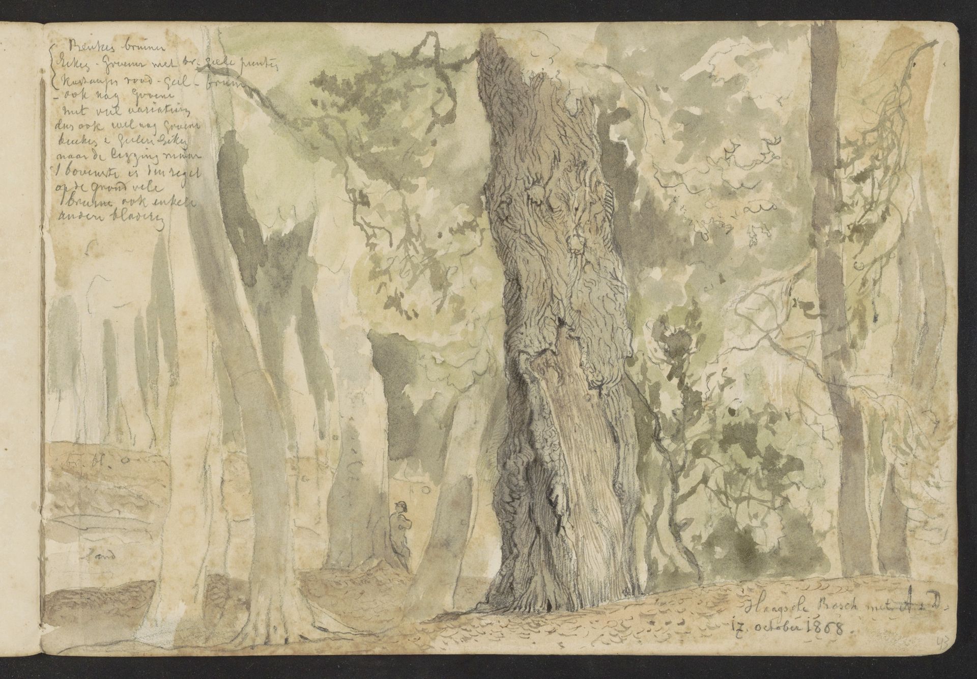 Beukenbomen in het Haagse Bos by Johannes Tavenraat
