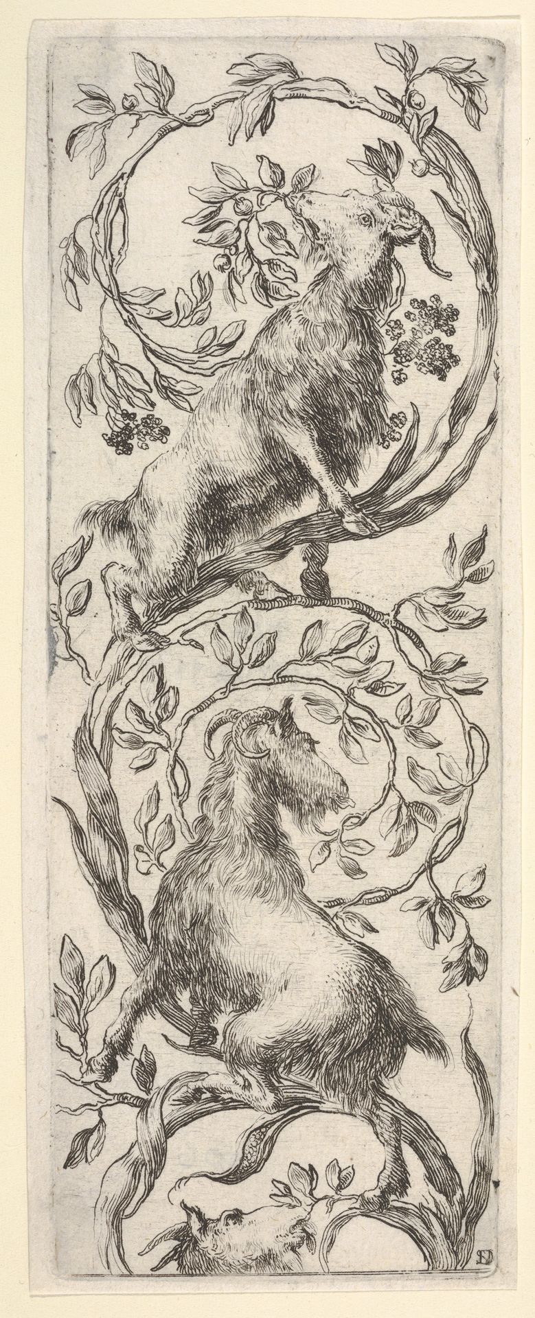Three goats climbing a vine in the shape of a backwards 'S', from 'Ornaments or Grotesques' (Ornamenti o Grottesche) by Stefano della Bella