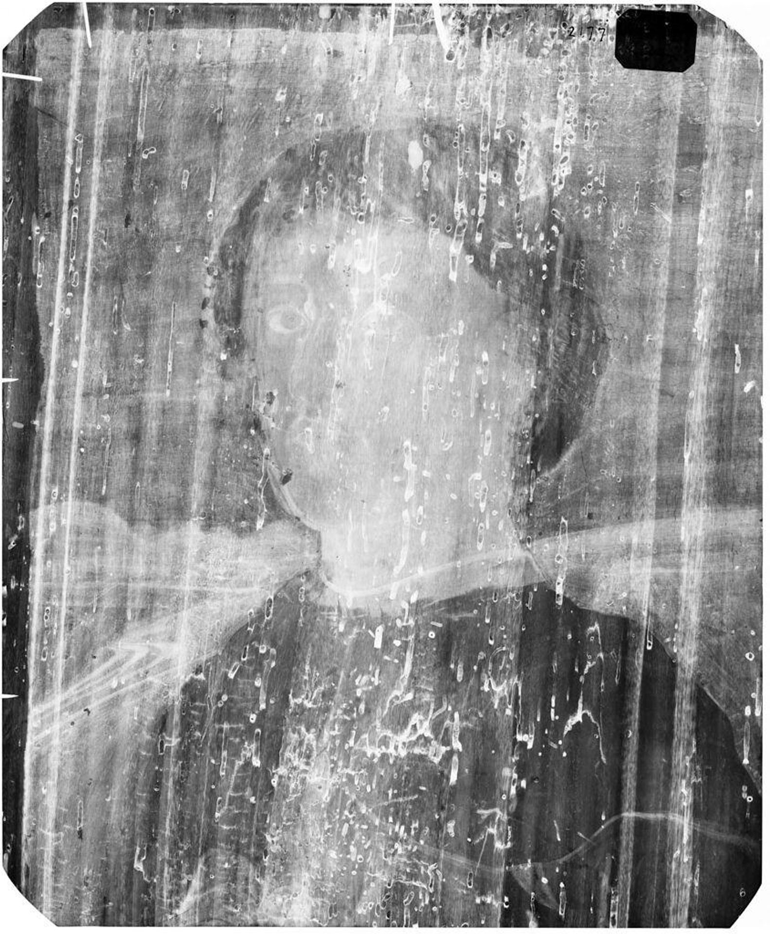 X-radiograph(s) of "Male Portrait" by Artist of original: Sandro Botticelli (Alessandro Filipepi)