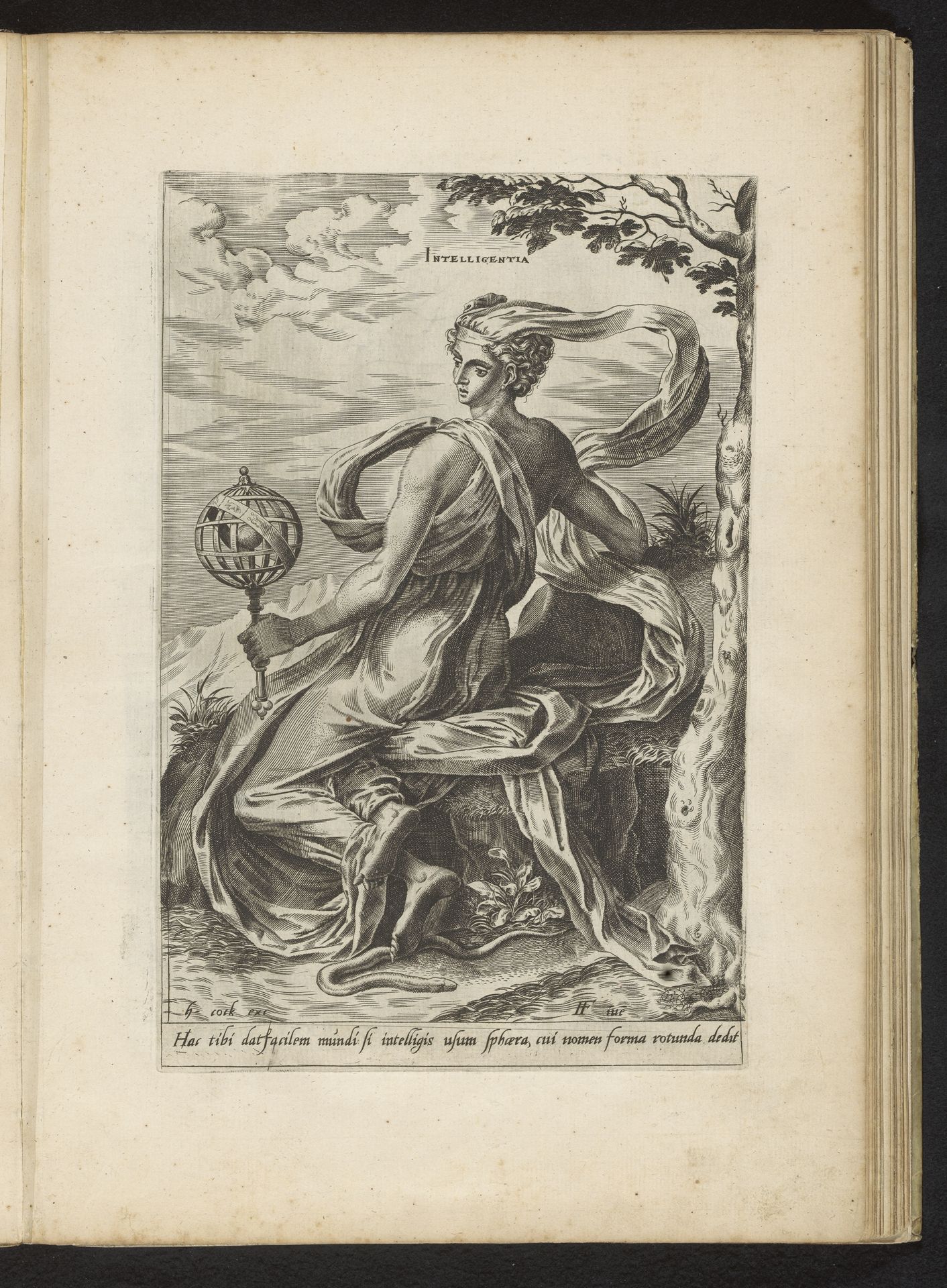 Intelligentie by Cornelis Cort
