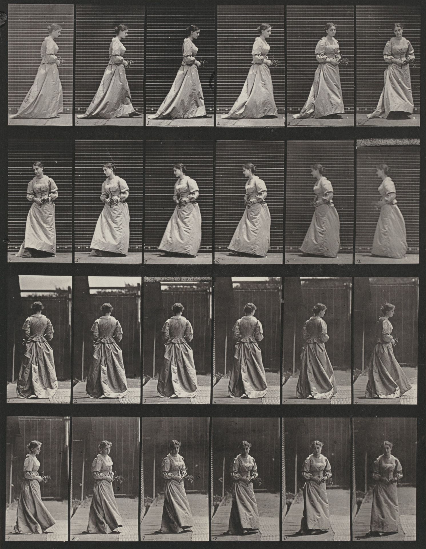 Plate Number 48. Walking and turning around with a bouquet in both hands by Eadweard Muybridge