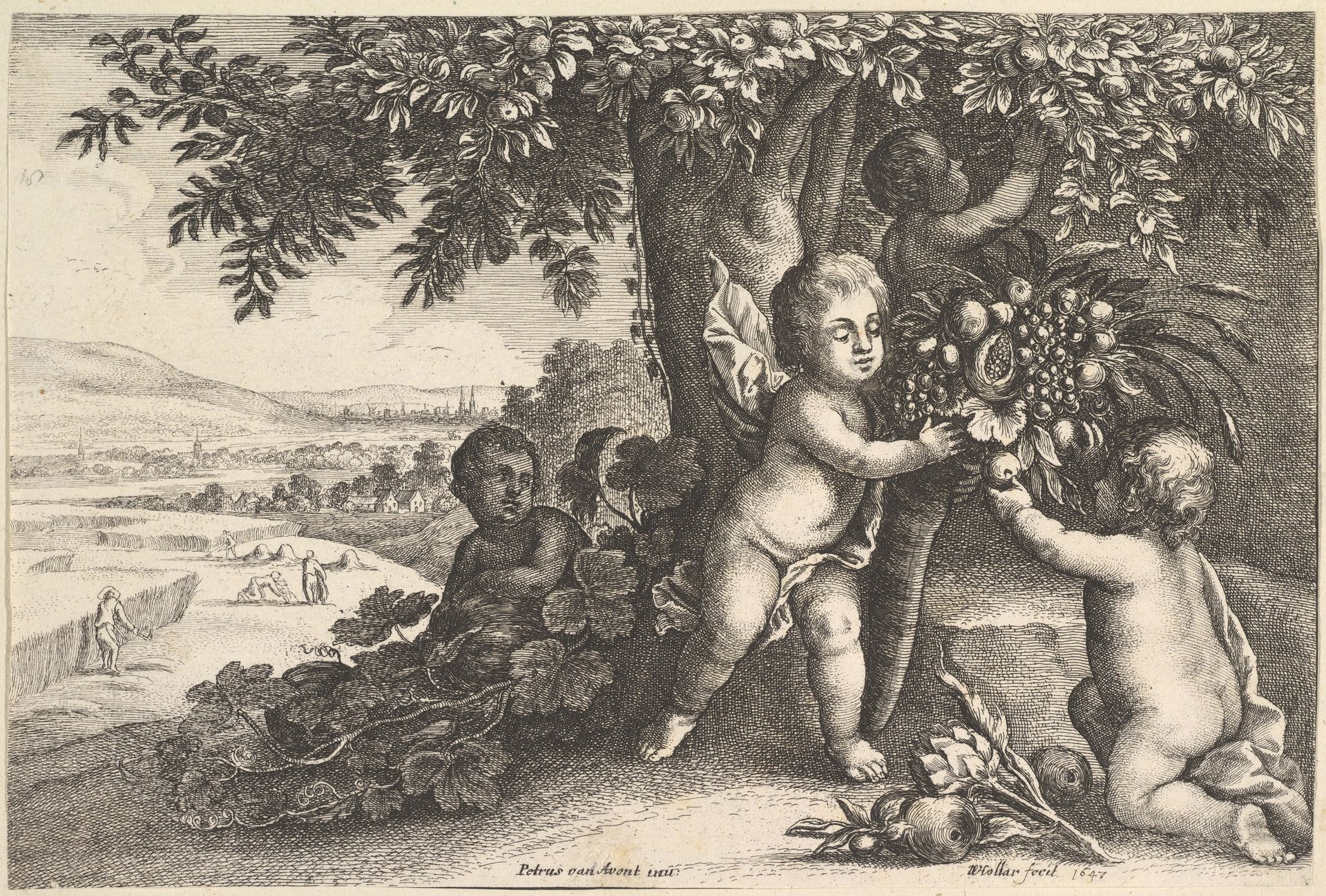 Earth by Wenceslaus Hollar