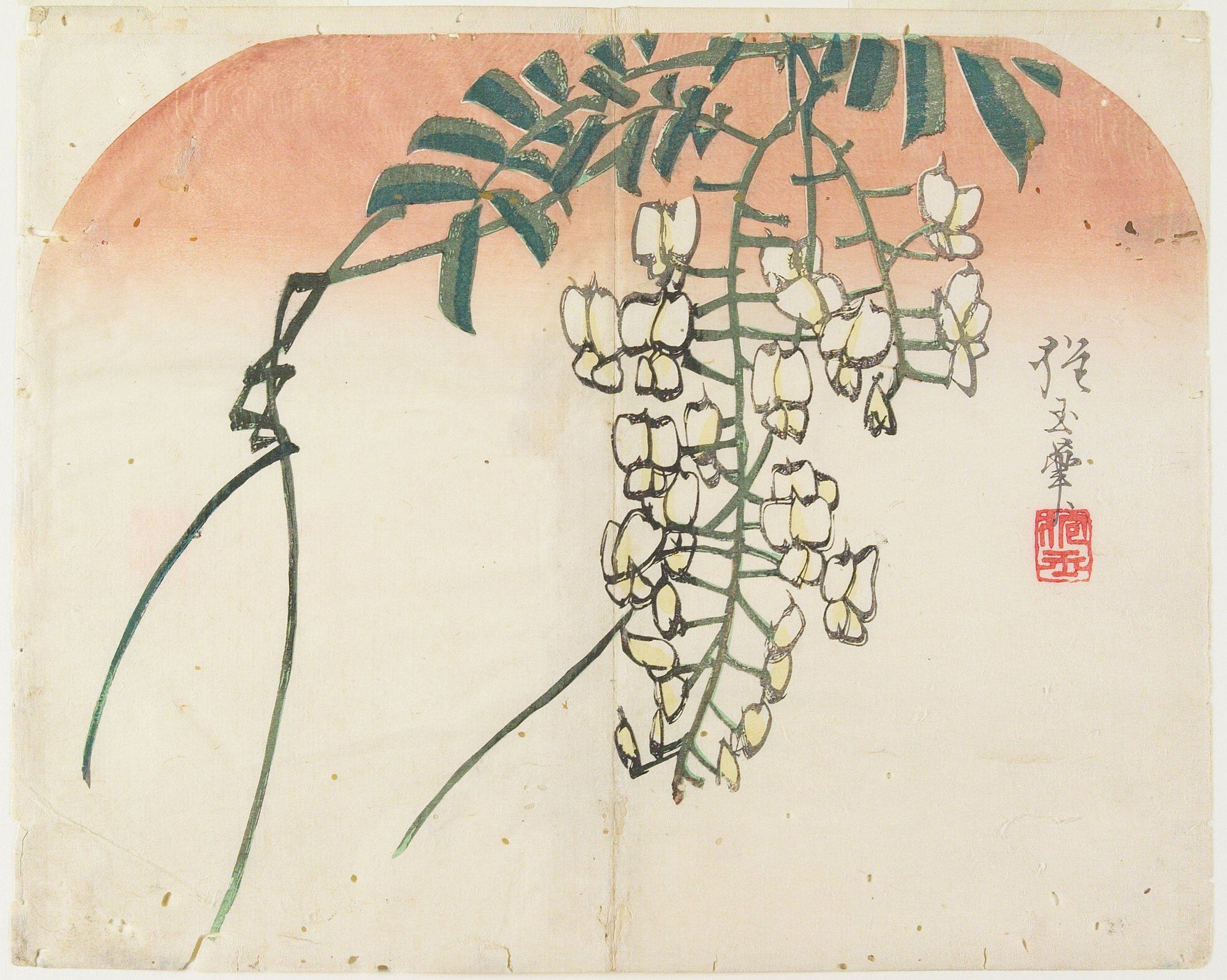 White Wisteria by Yamada Hōgyoku