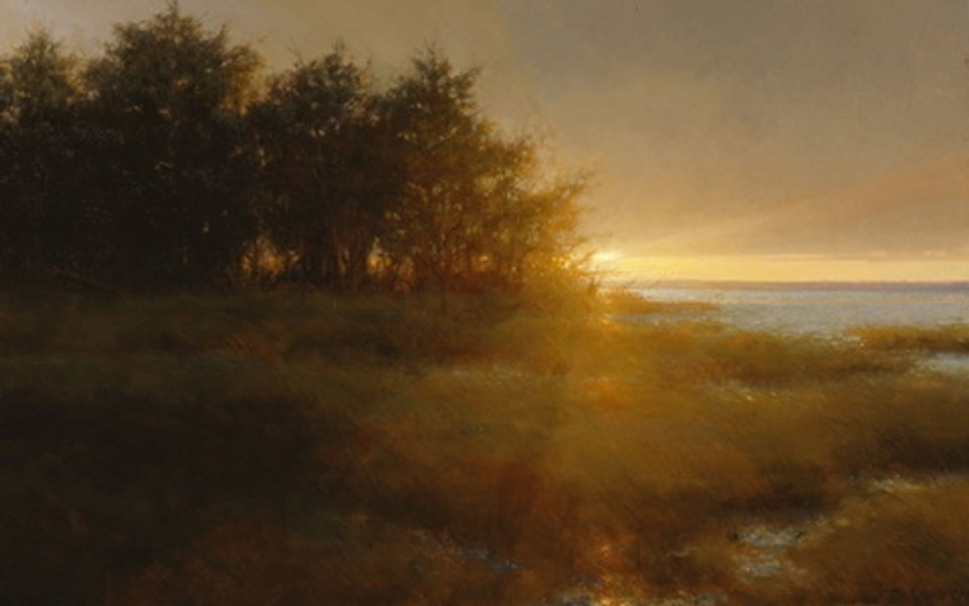 Fire Island Sunset by Jacob Collins