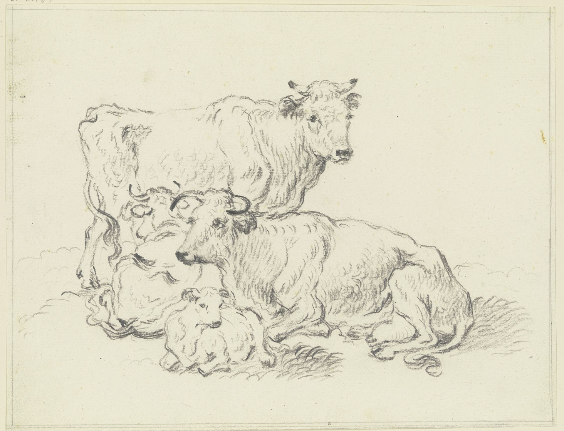 Kuh und Ochse mit zwei Kälbern by Friedrich Wilhelm Hirt