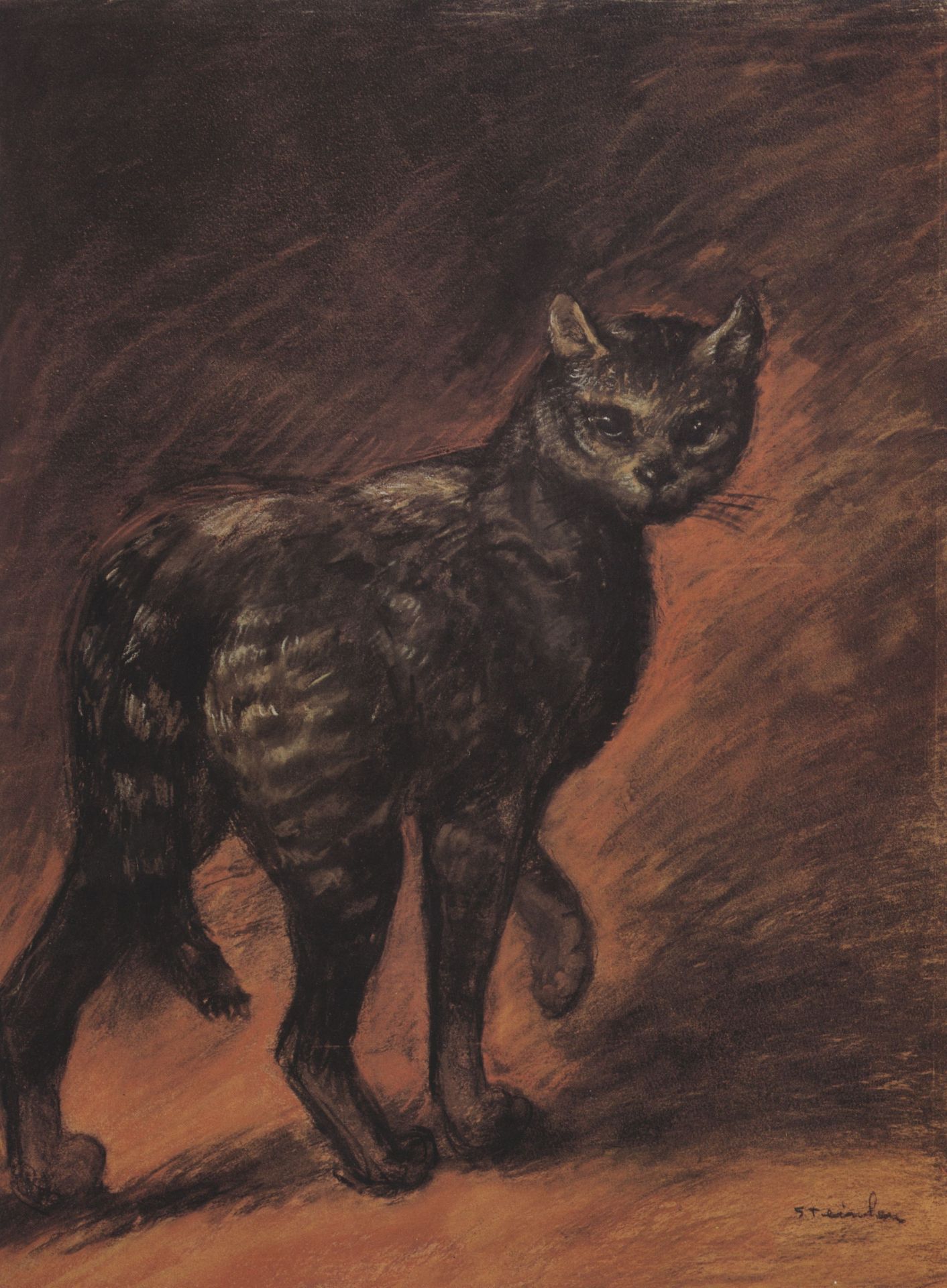 Cat by Théophile Alexandre Steinlen