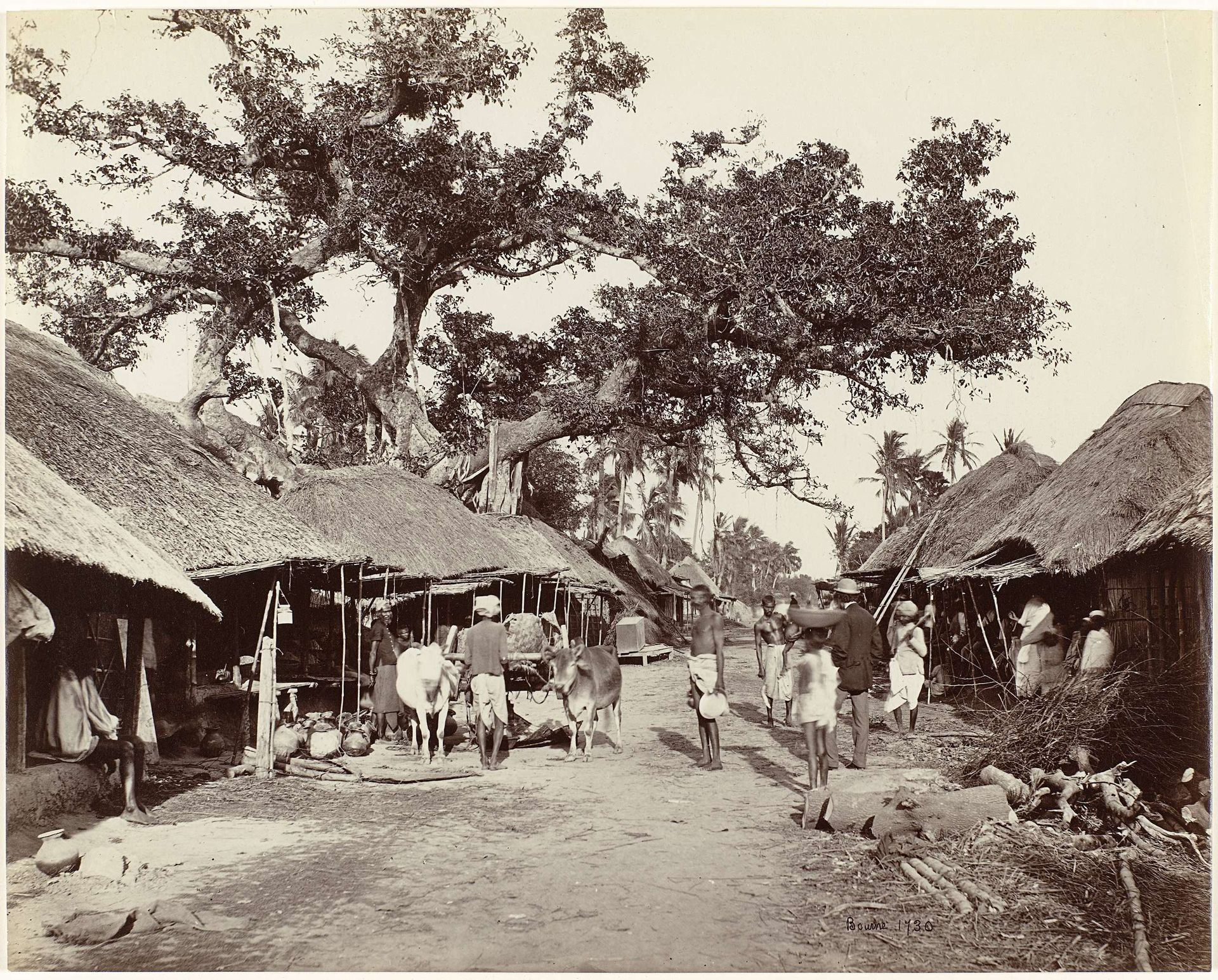 View of a market, Bengal, India by Samuel Bourne