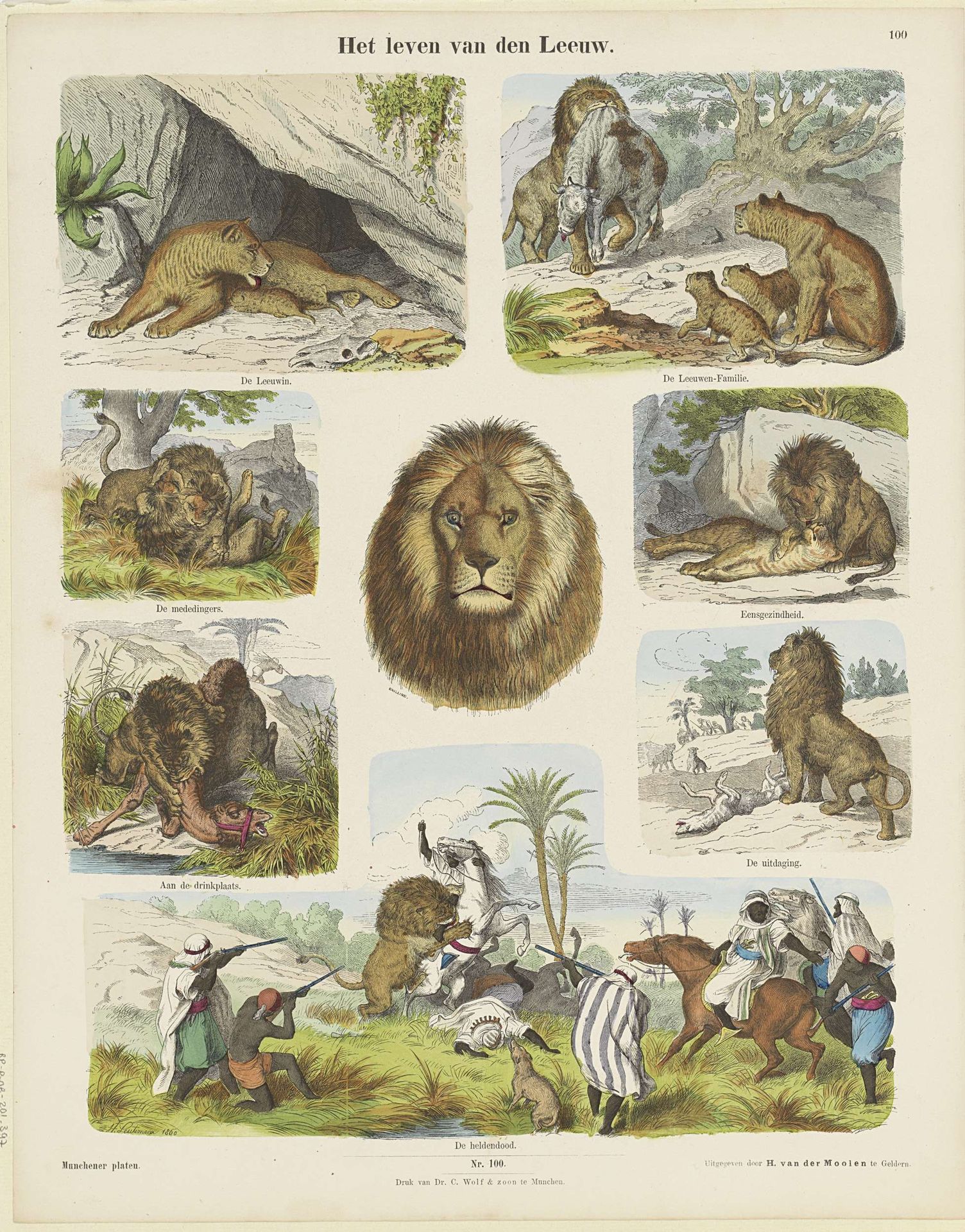 Het leven van den leeuw by H. Leutemann