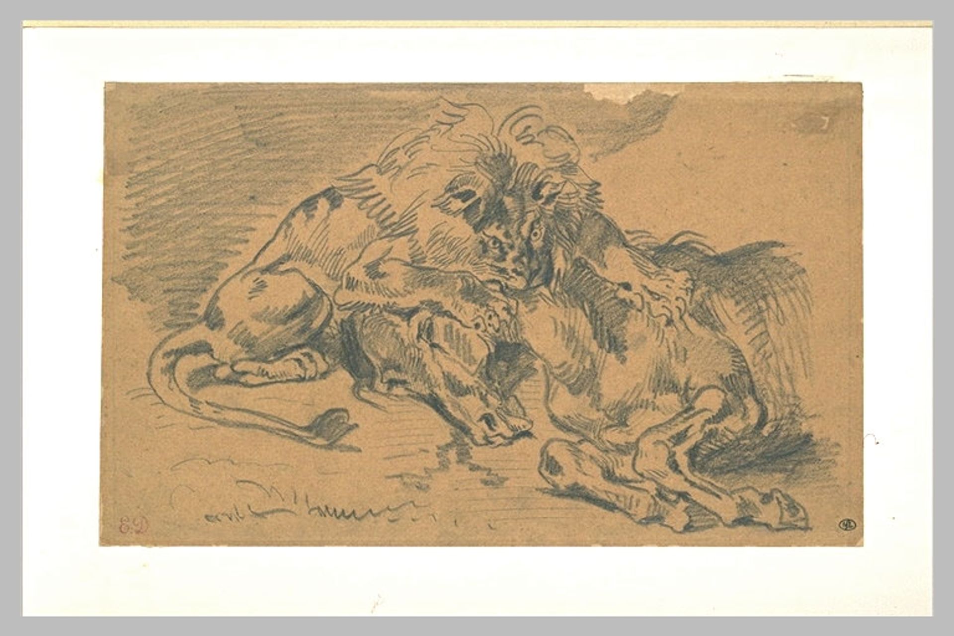 Lion Devouring a Horse by Eugène Delacroix