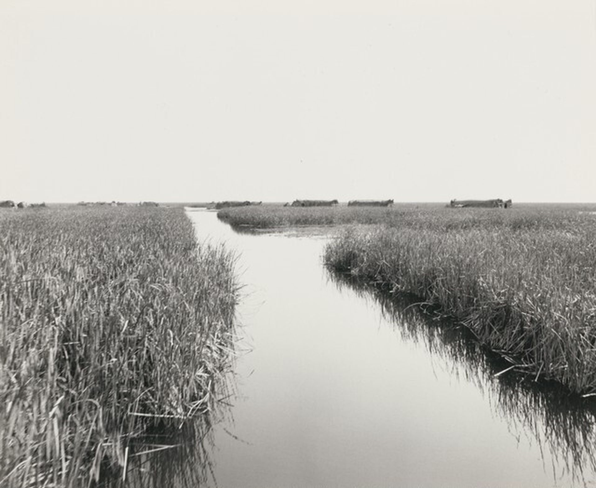 Untitled by Ursula Schulz-Dornburg