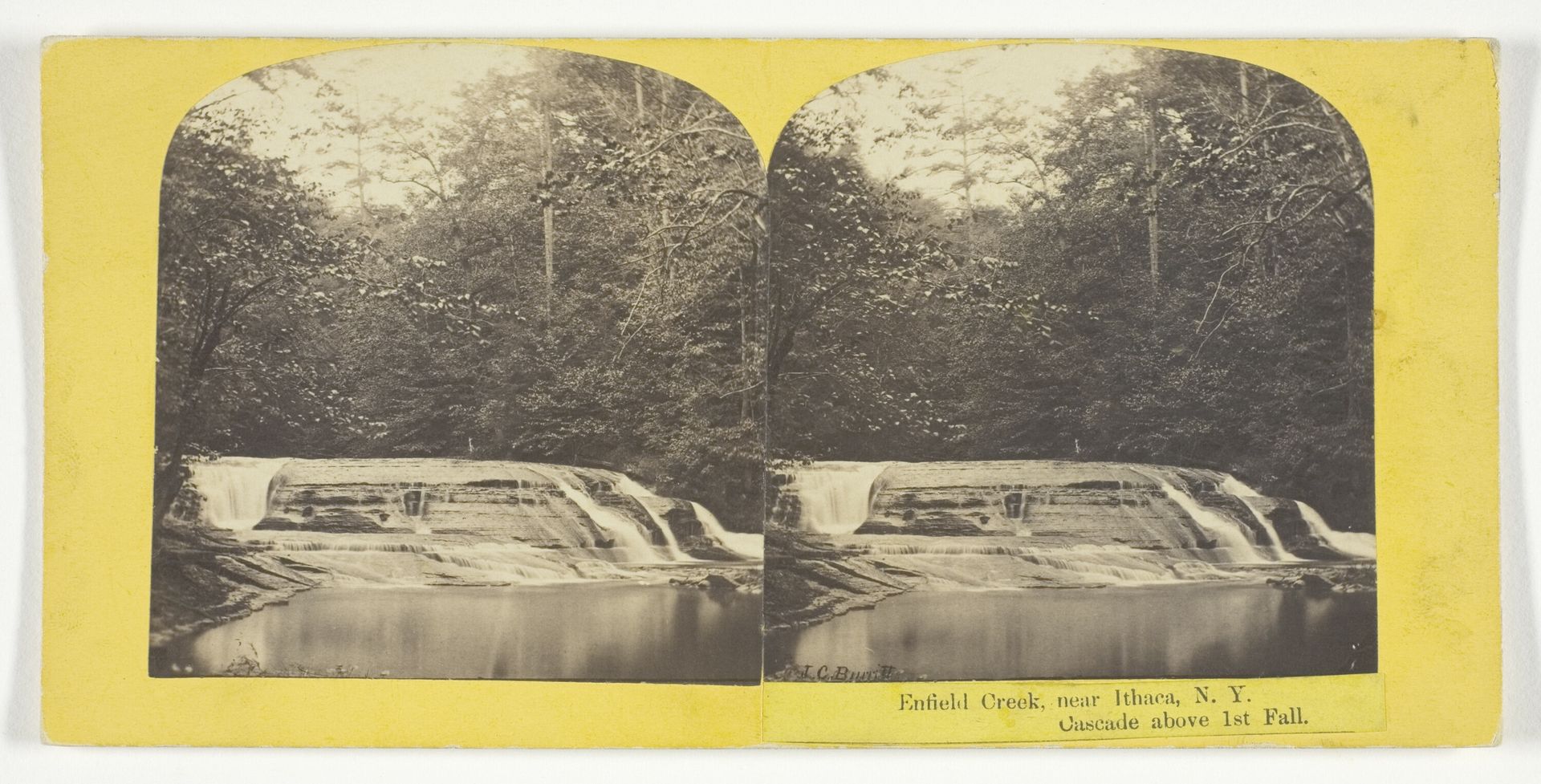 Enfield Creek, near Ithaca, N.Y. Cascade above 1st Fall by J.C. Burritt