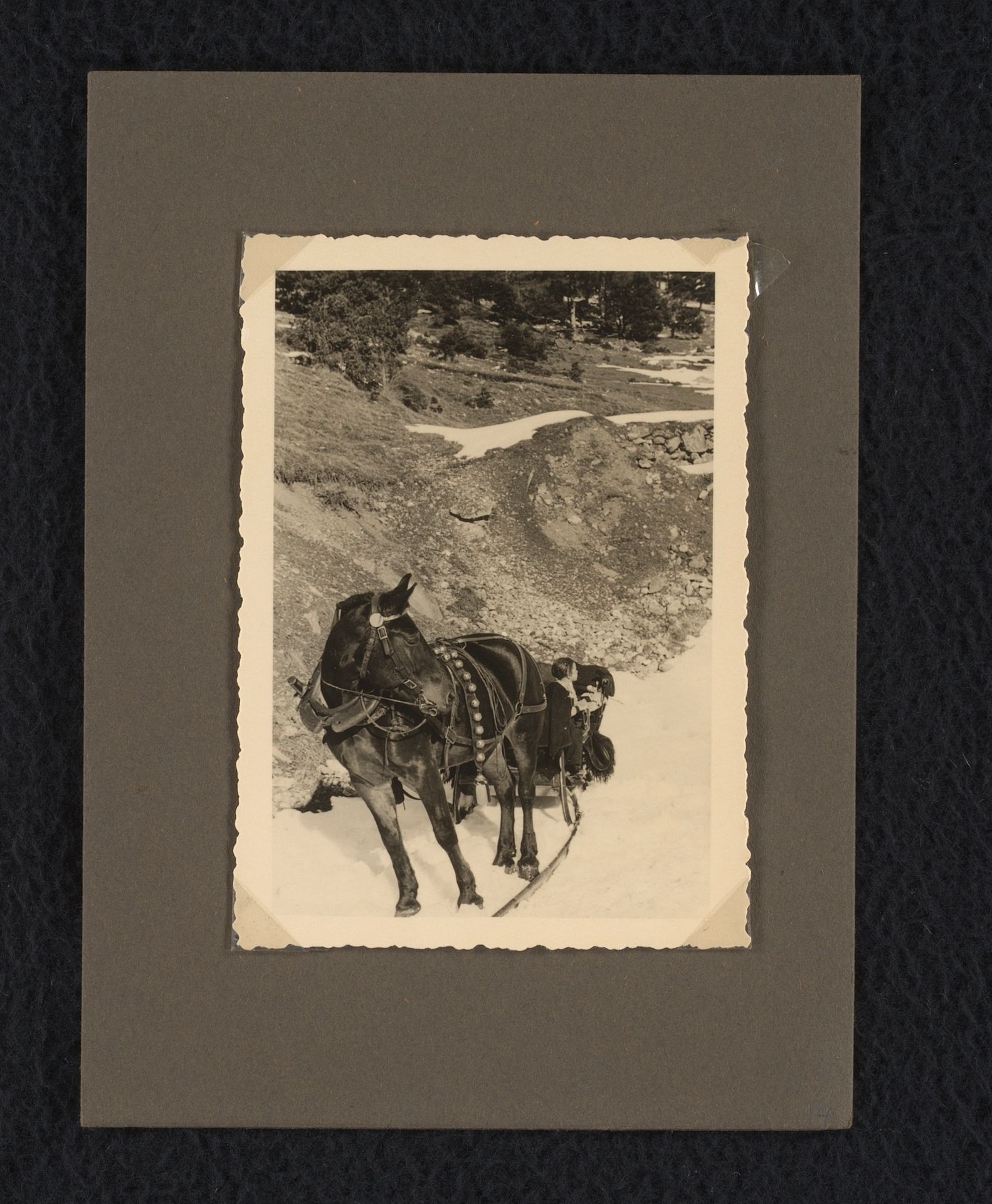 Isabel in de arrenslee by familie Wachenheimer