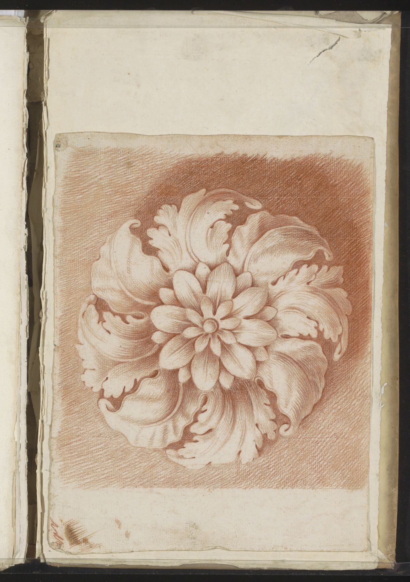 Floraal ornament by Jacob Toorenvliet