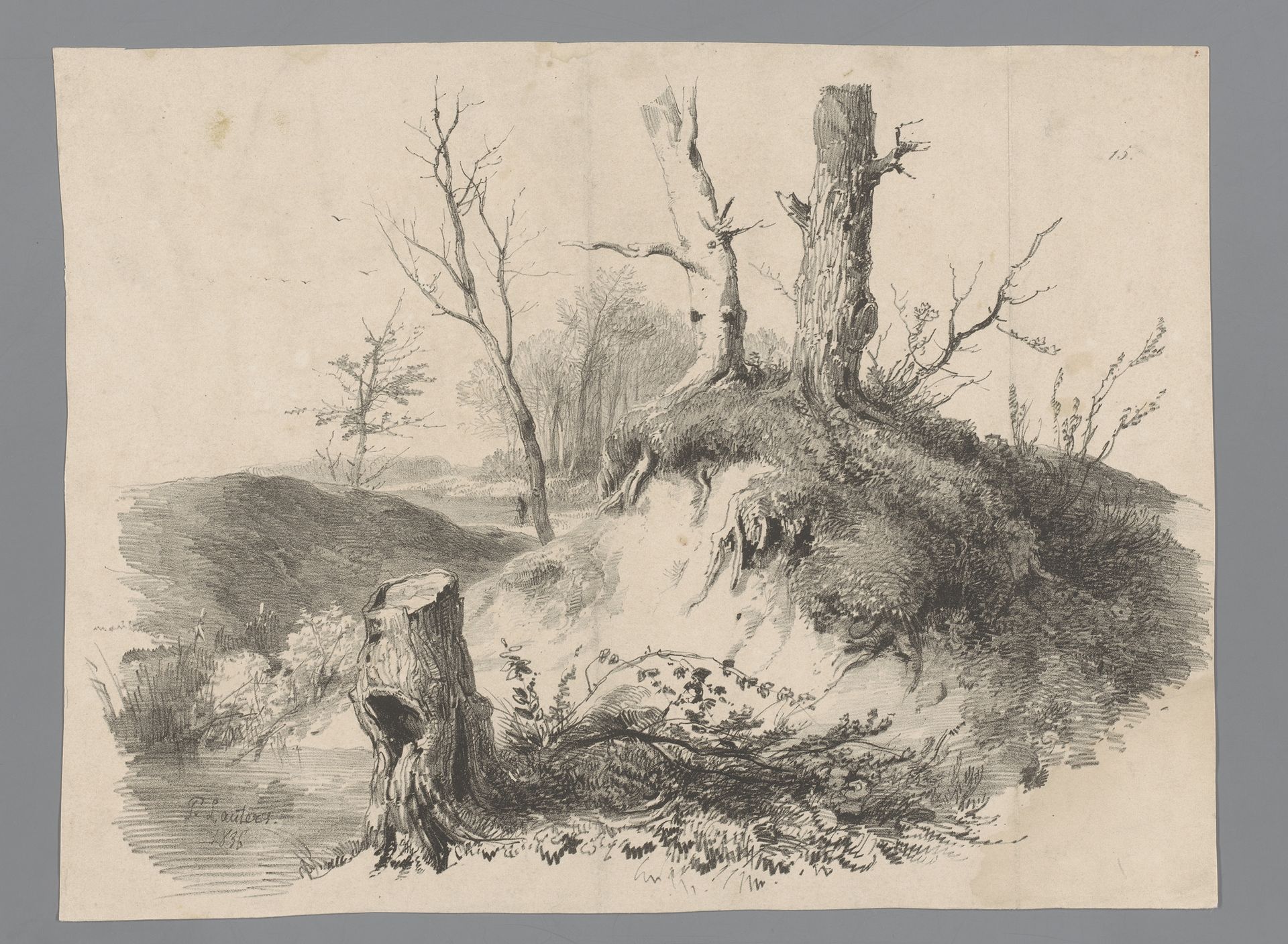 Landschap met boomstronken by Paulus Lauters